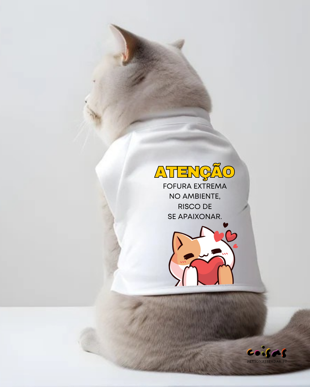 Gato cinzento com t-shirt branca e texto colorido vestindo-se sentado em superfície branca.
