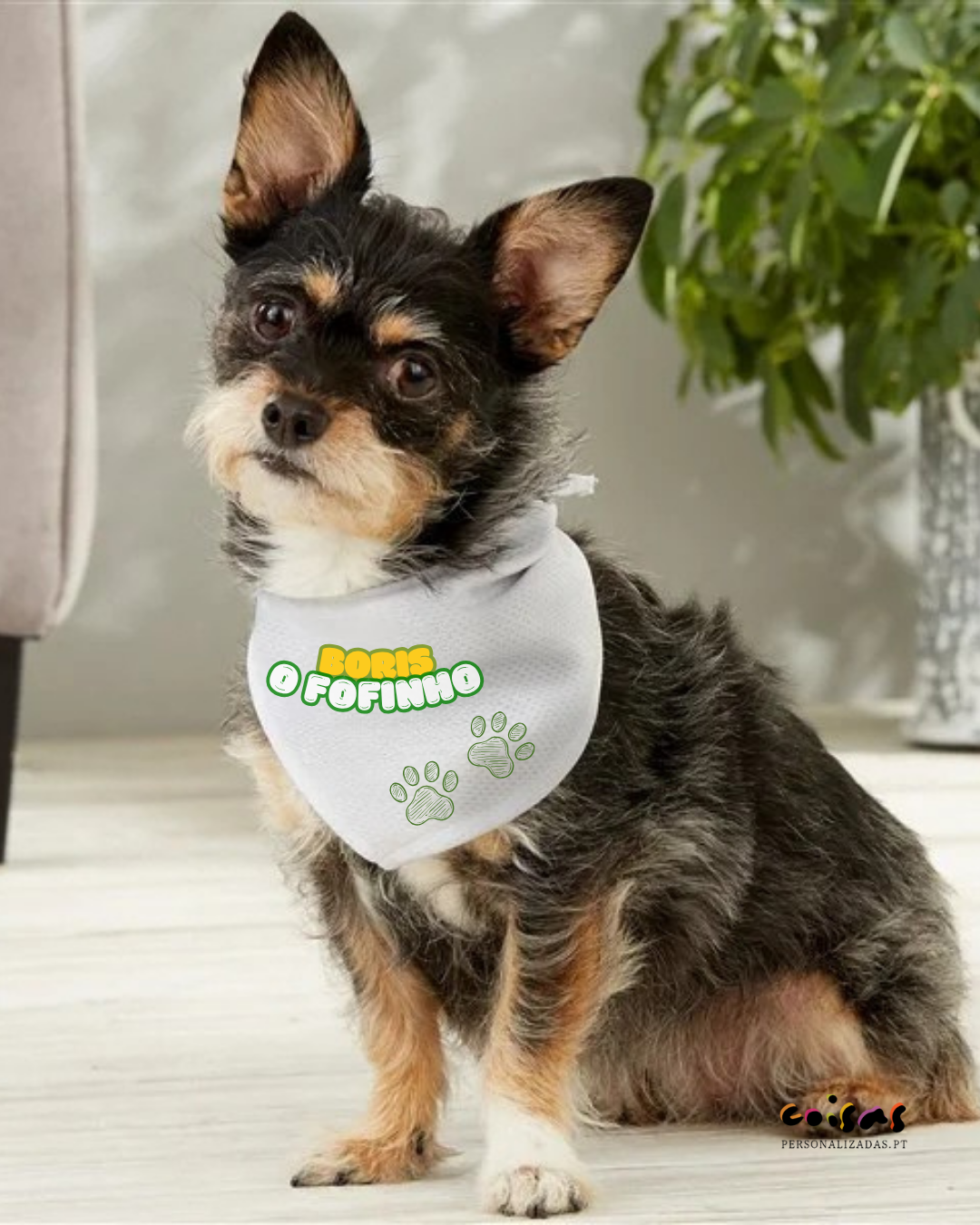 Cão pequeno com babete branco personalizado