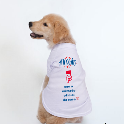 Cão com t-shirt branca personalizada com texto em português