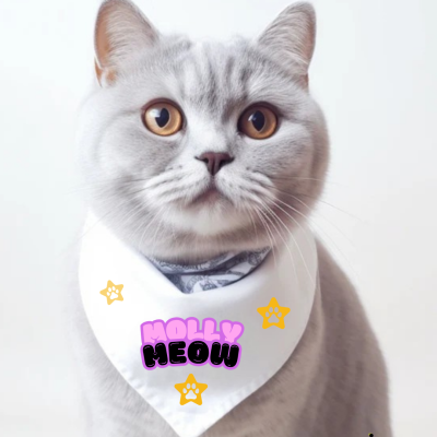Gato com lenço branco decorado com estrelas amarelas e texto MOLLY MEOW