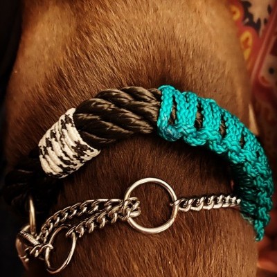 Coleira colorida de corda com corrente metálica no pescoço de cão castanho