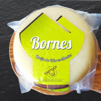 Queijo redondo embalado a vácuo com rótulo amarelo e verde com texto e ilustração de ovelha