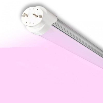 Lâmpada tubular LED rosa com terminais metálicos em fundo branco