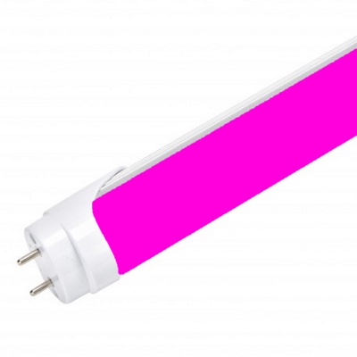 Lâmpada tubular LED cor-de-rosa com base branca e dois pinos metálicos