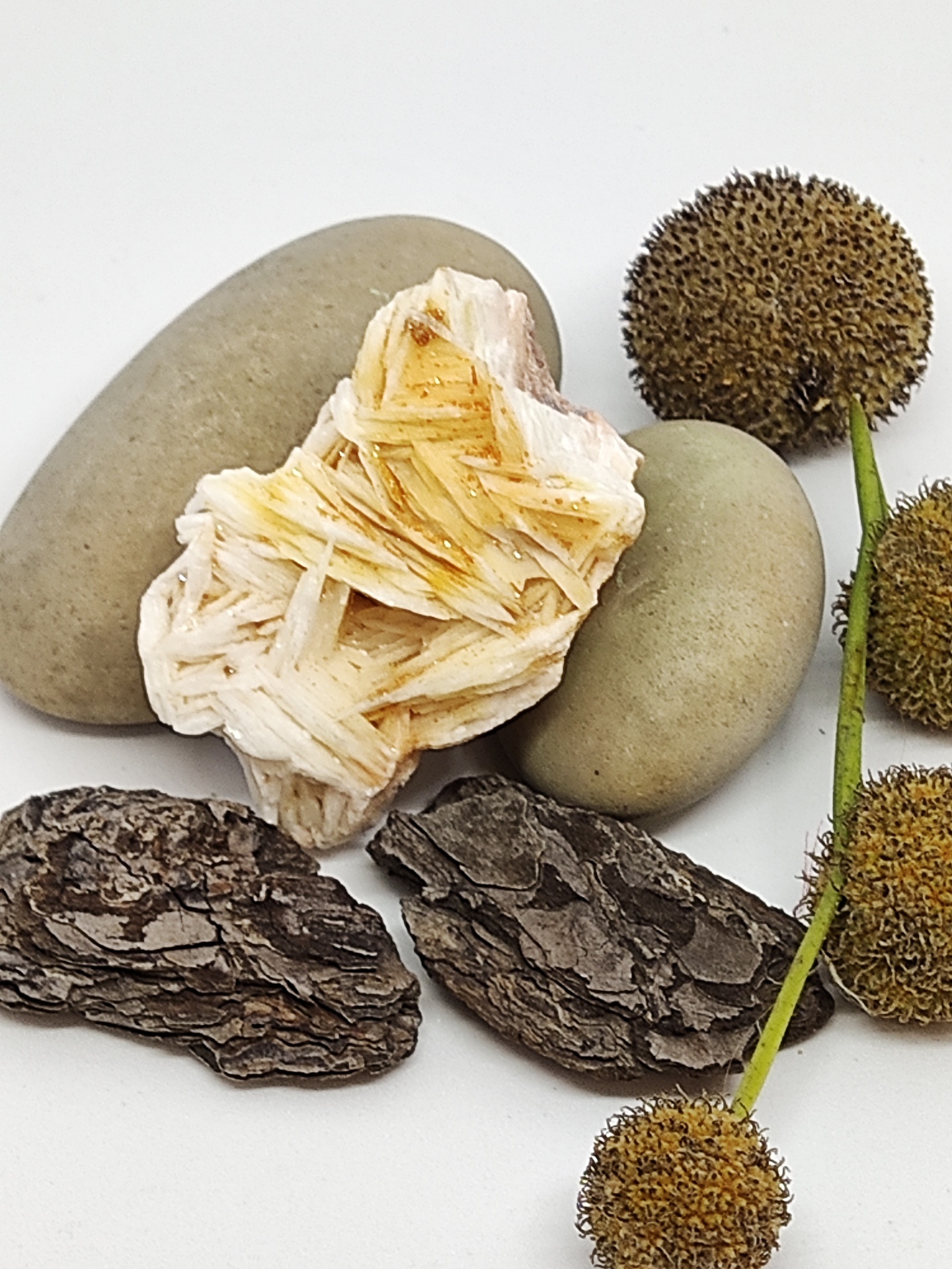 Pedras, mineral, cascas de árvore e sementes sobre fundo branco