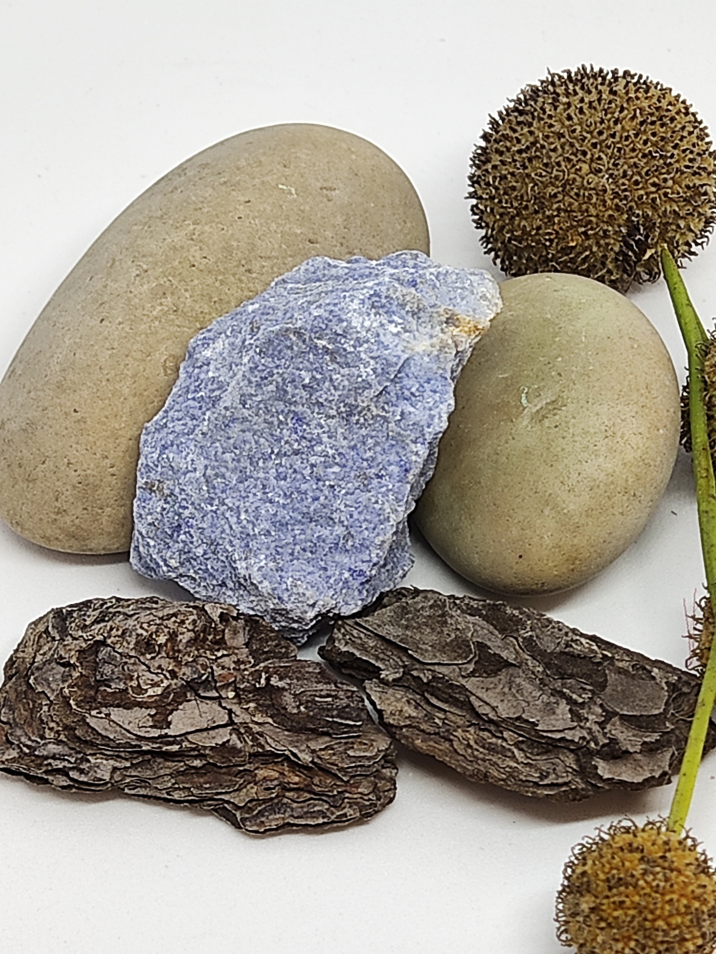 pedras azuis e castanhas, casca de árvore e sementes redondas com caule em fundo branco