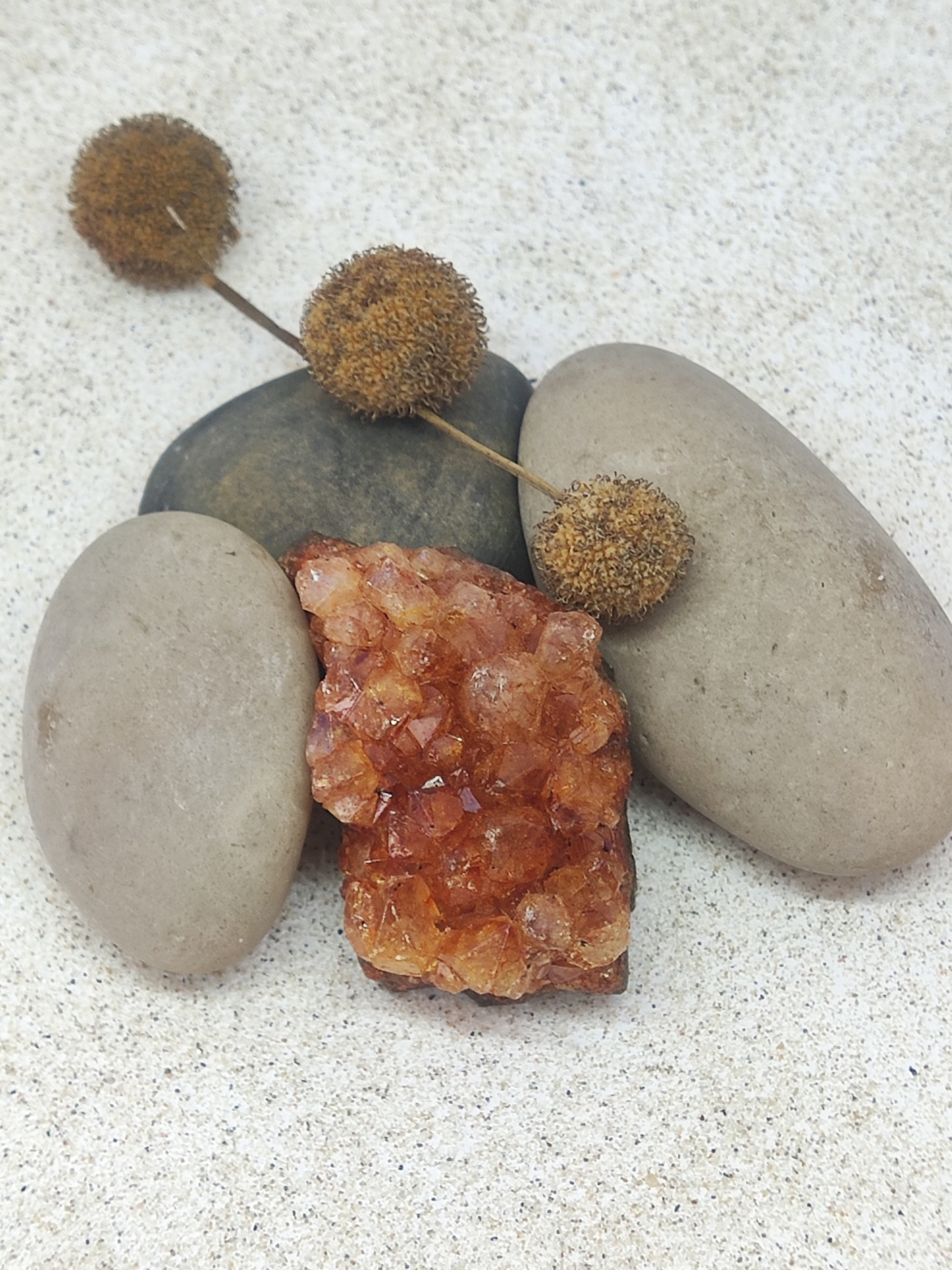 Pedras de diferentes texturas e plantas secas sobre superfície clara