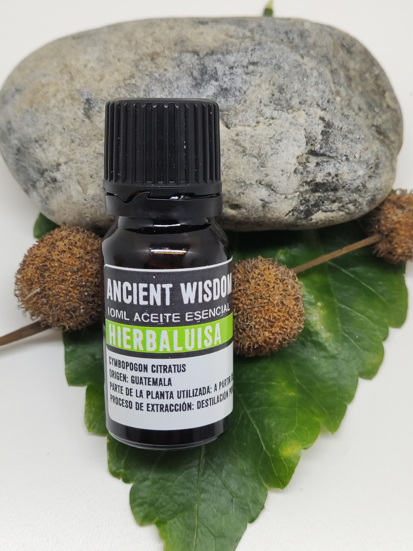 Frasco pequeno de óleo essencial Ancient Wisdom sobre folhas verdes e pedra cinza