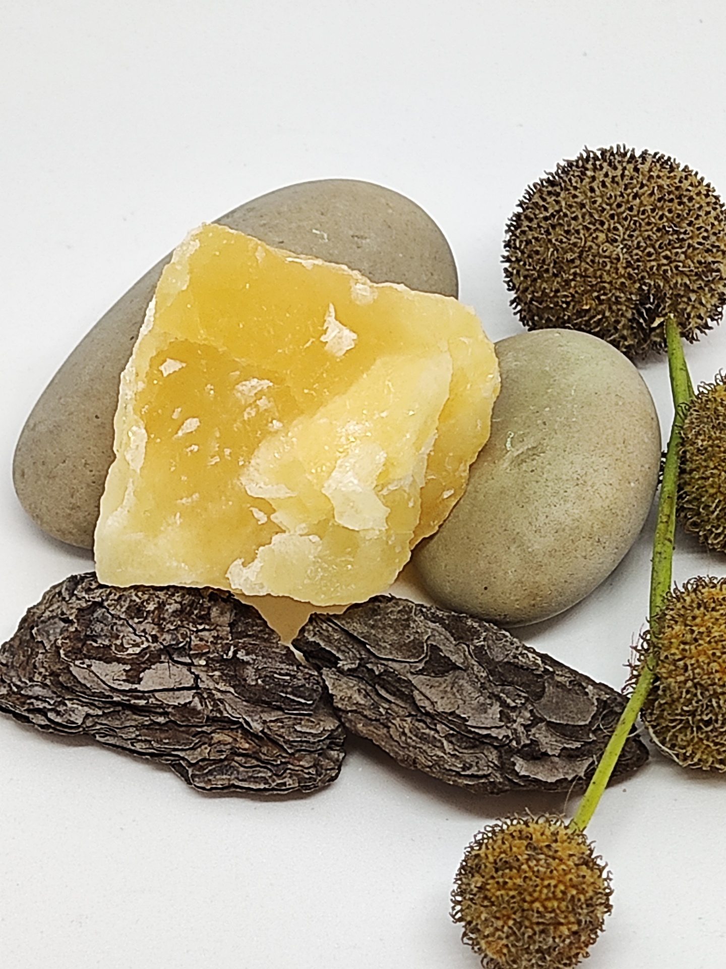 Pedra amarela, pedras cinzentas, casca marrom e flores esféricas castanhas sobre fundo branco