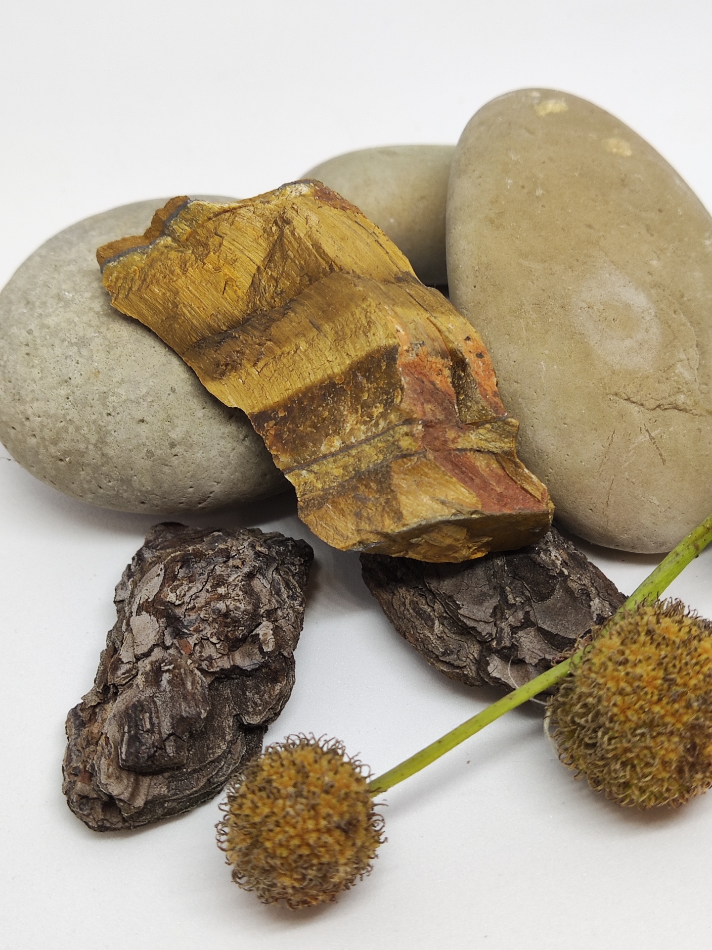 pedras cinza, peça com tons amarelos, cascas escuras e flores secas espinhosas