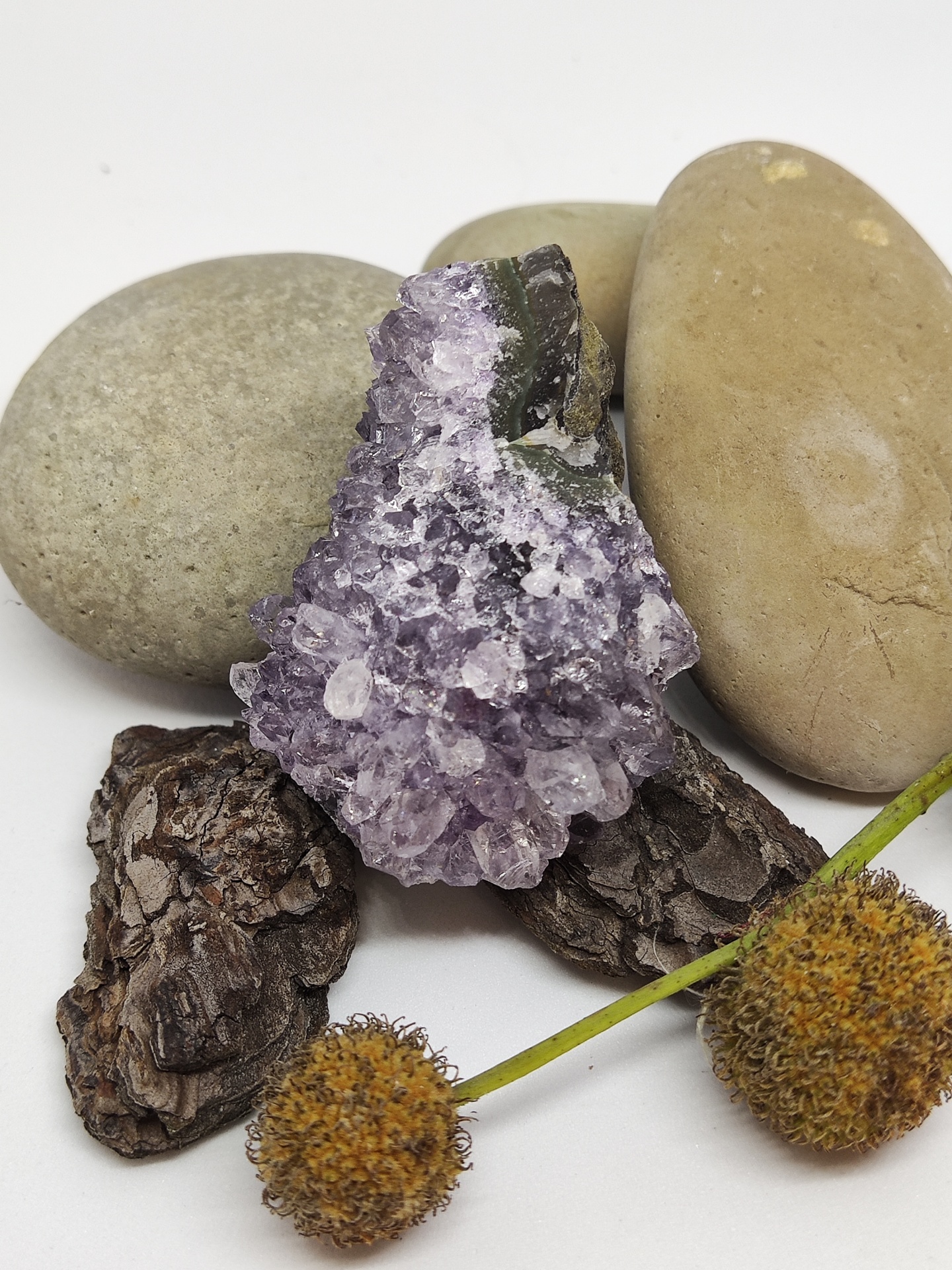 Conjunto de pedras, cascas e flores secas sobre fundo branco