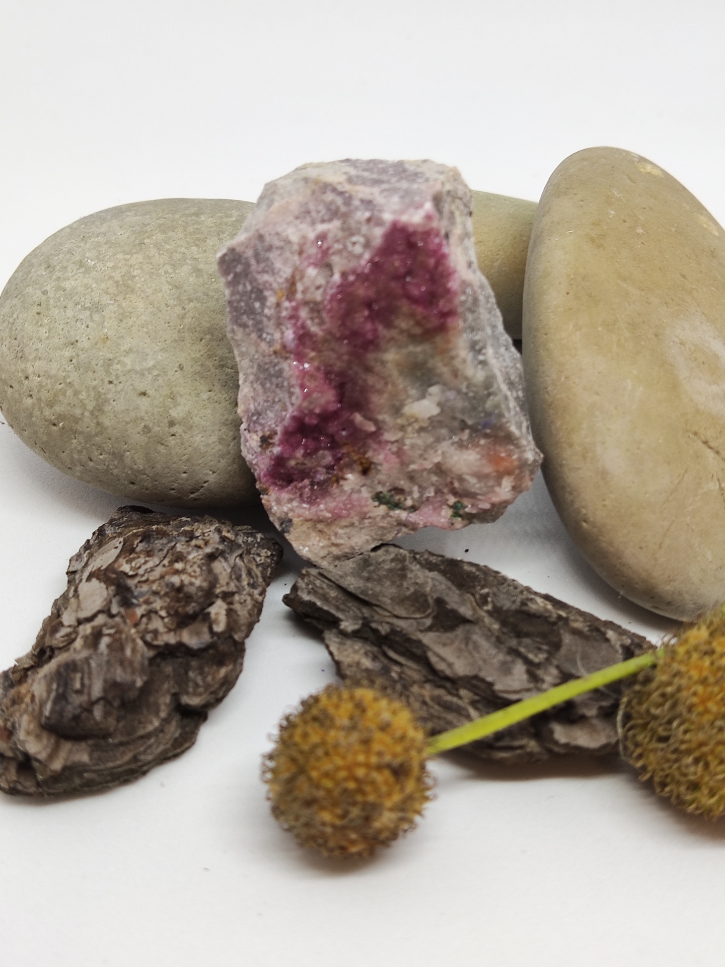 Seixos, pedra com manchas cor-de-rosa, casca escura e flores secas amarelas em fundo branco