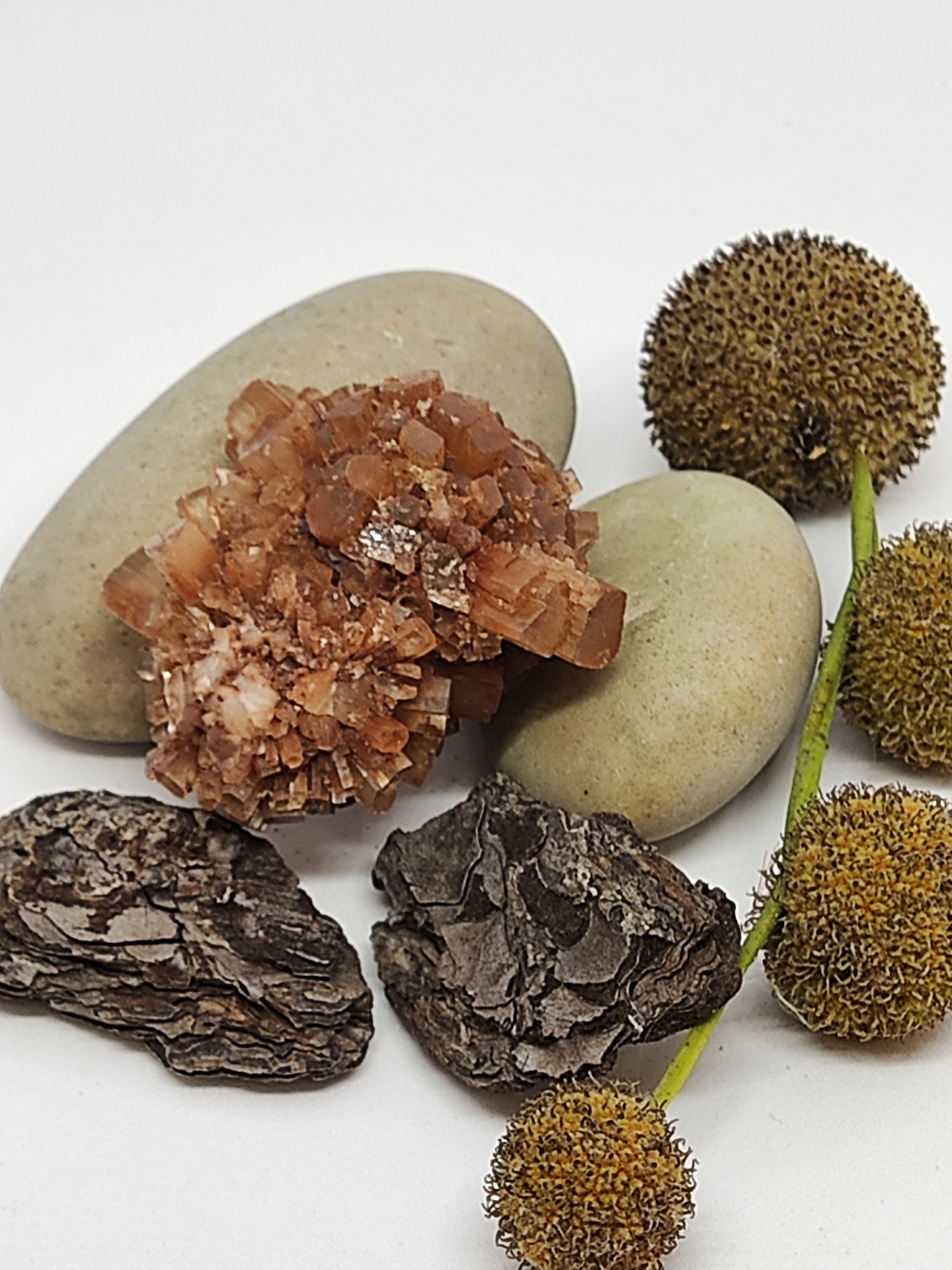 Pedras, cristais, casca de árvore e flores secas em fundo branco.