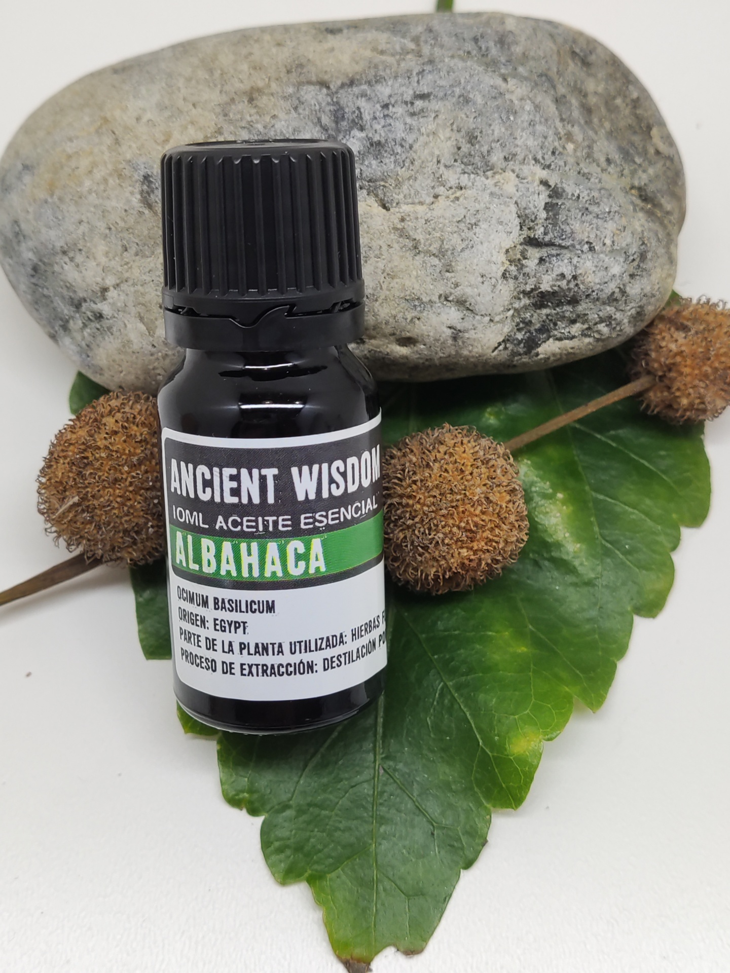 Frasco preto de aceite essencial de alfavaca com tampa preta sobre folhas verdes e pedra cinza