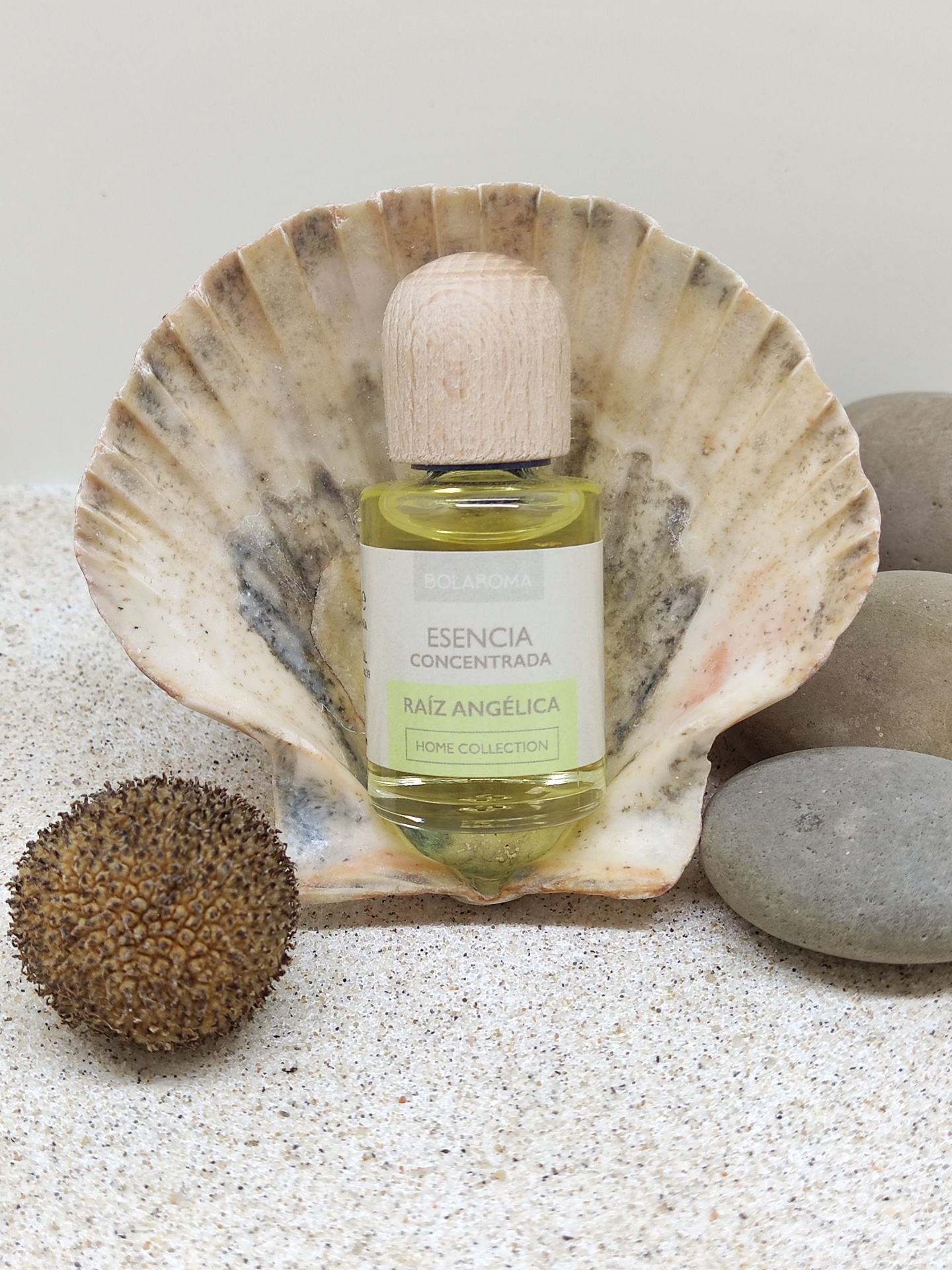 Frasco de essência concentrada dentro de uma concha com pedras e uma semente ao lado.