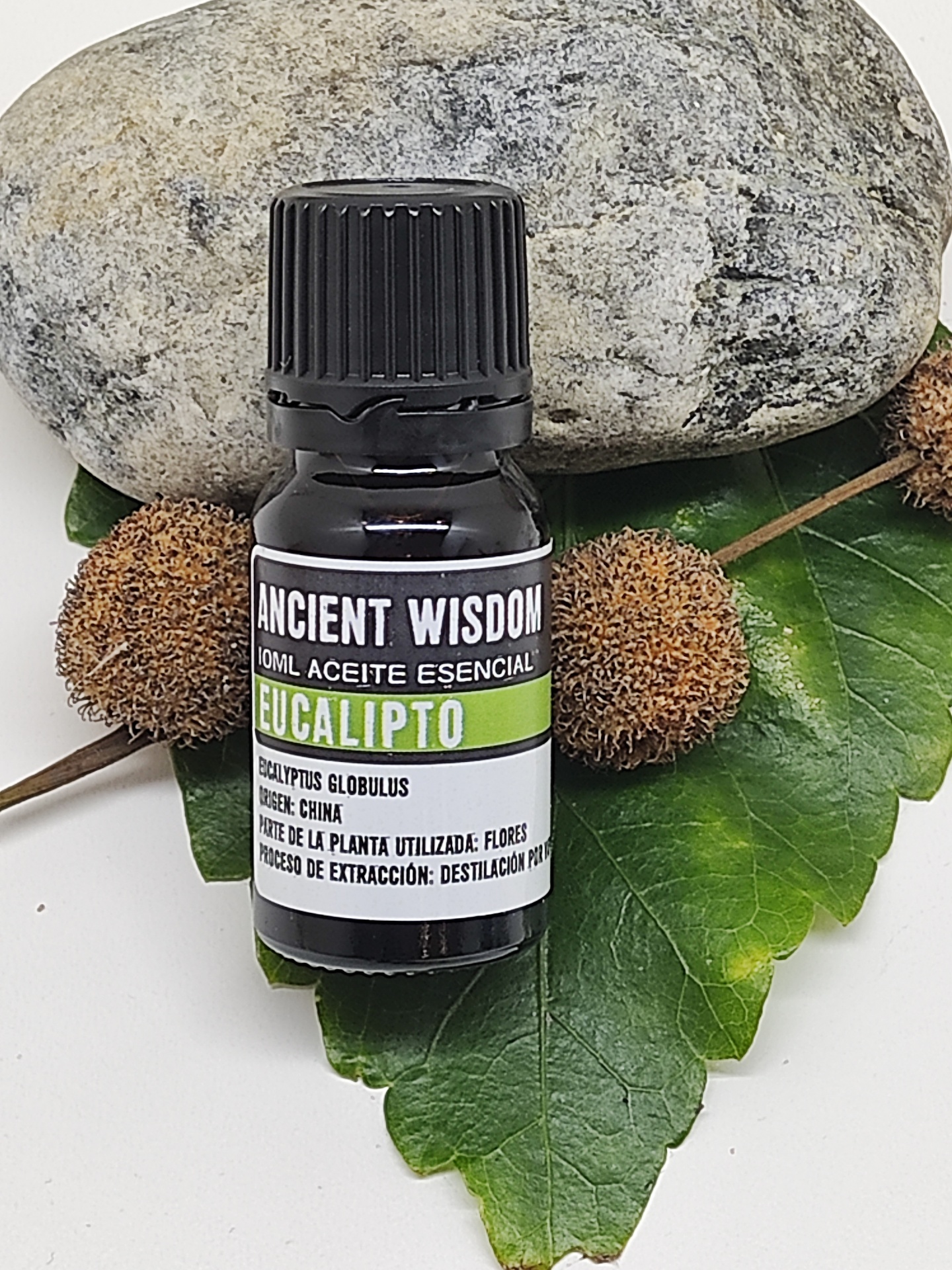 Frasco de óleo essencial Eucalipto com folhas e pedra
