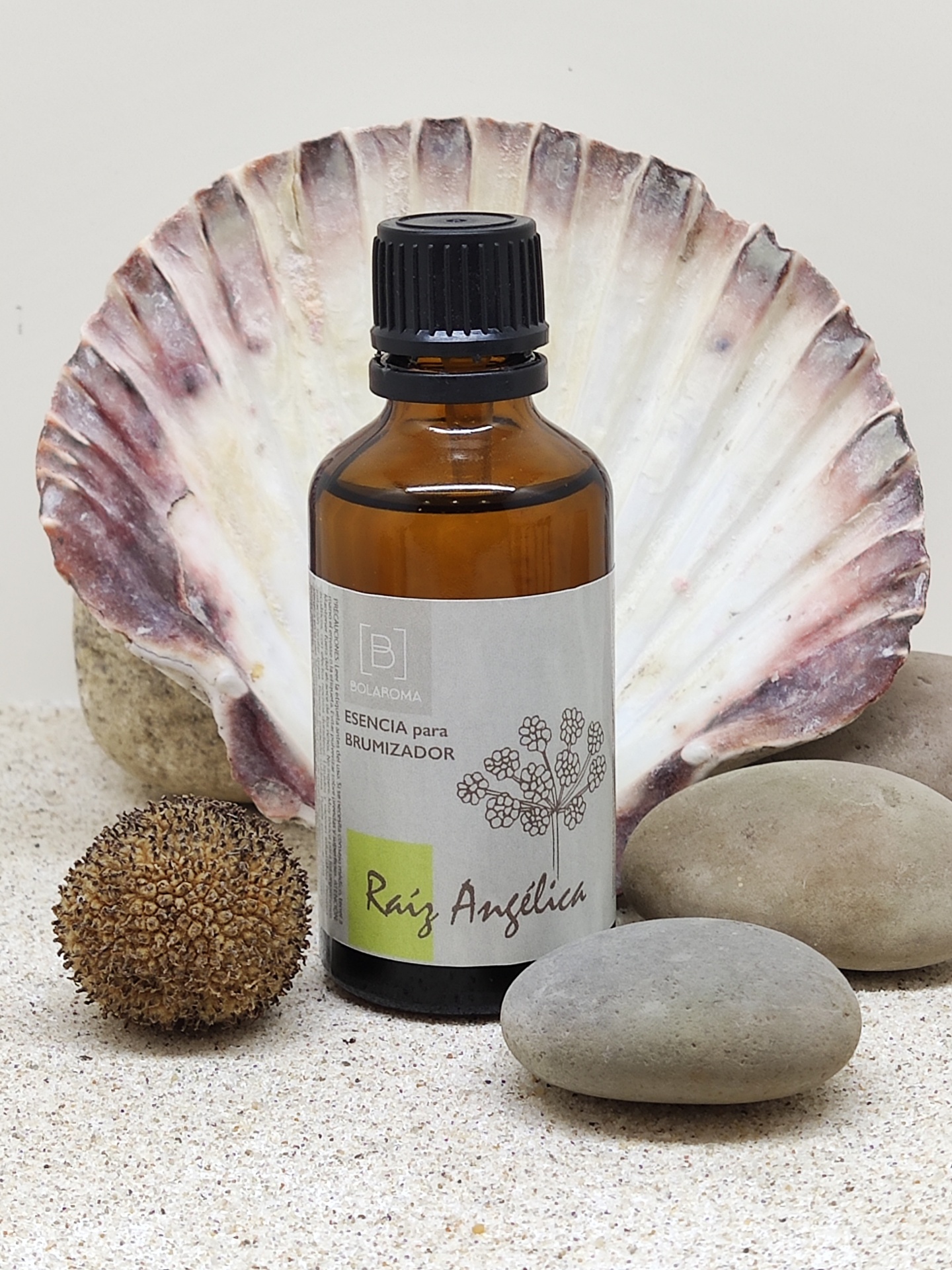 Frasco de essência Raíz Angélica em areia com concha e pedras ao fundo