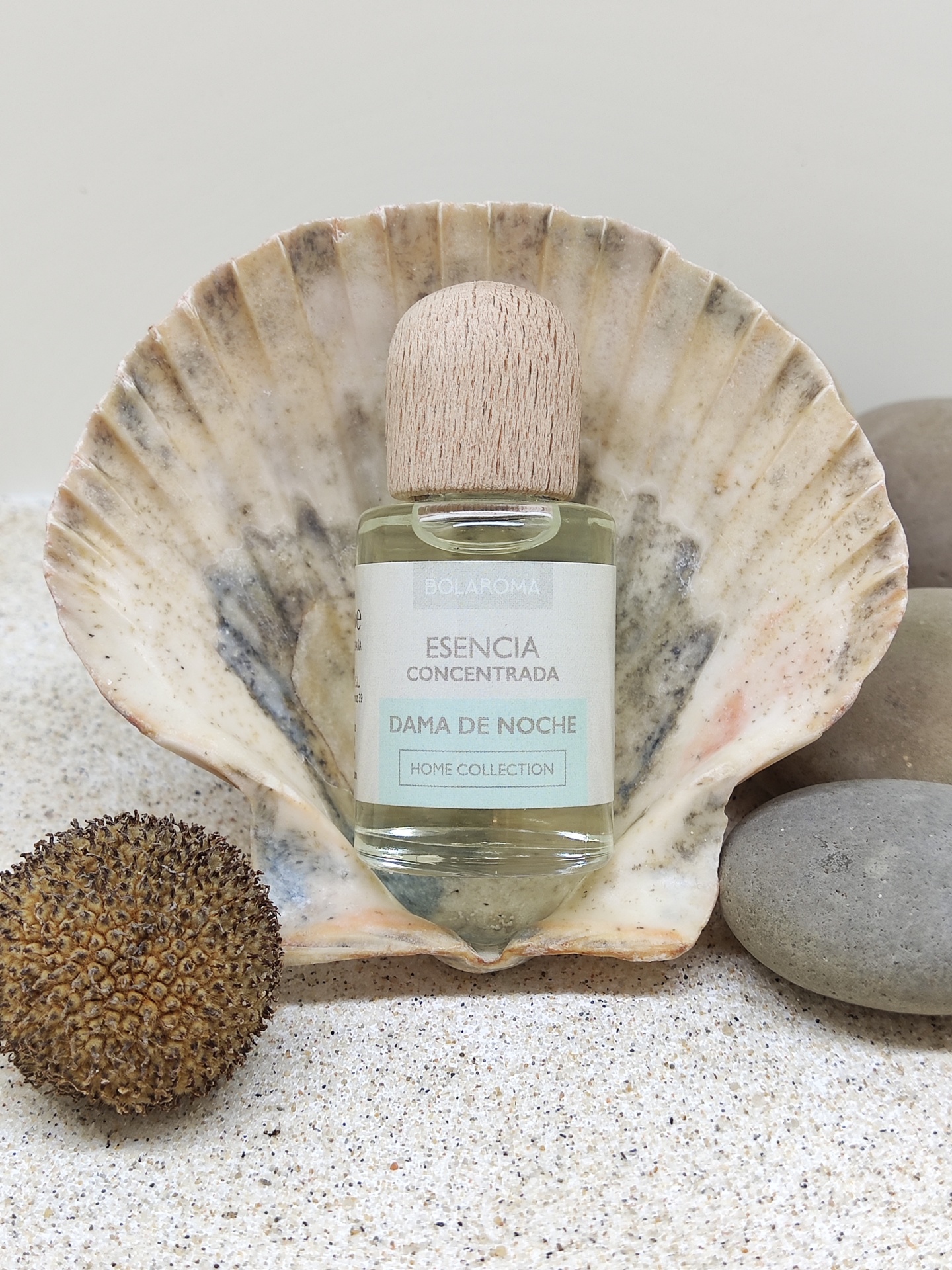 Frasco de essência concentrada Dama de Noche com tampa de madeira dentro de concha em fundo arenoso com pedras.