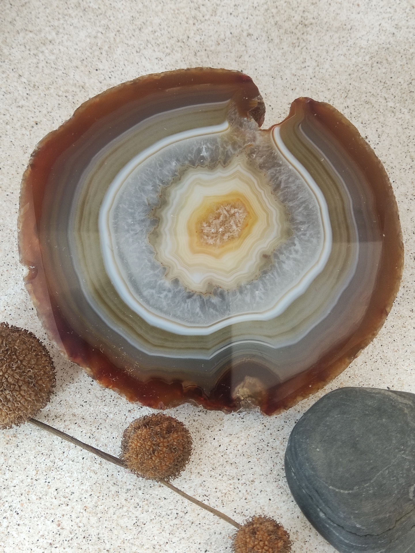 Fatia polida de ágata com flores secas e pedra em fundo claro