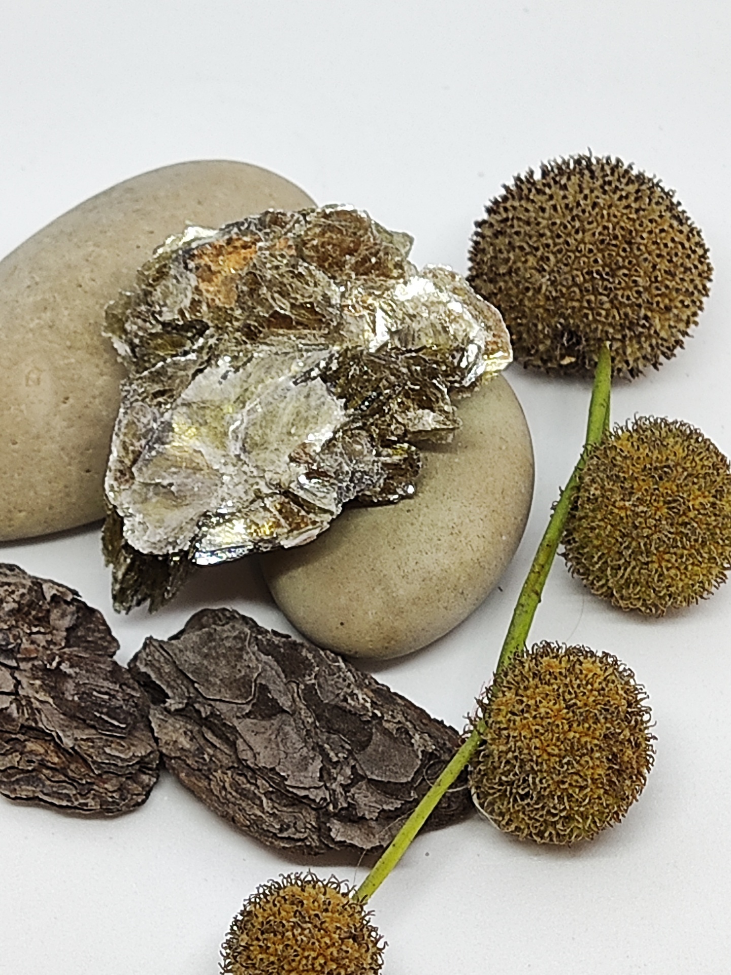 Elementos naturais: pedras, casca, mineral metálico e bolbos espinhosos em fundo branco