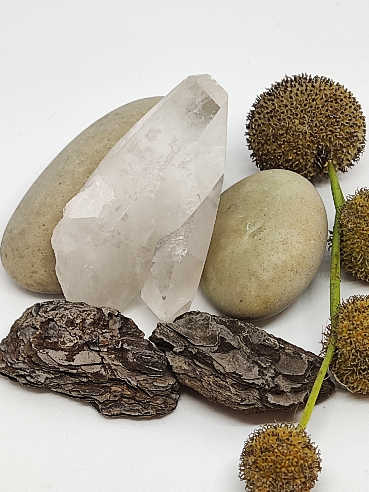 Cristal transparente, pedras ovais bege, cascas de árvore castanhas e frutos arredondados castanhos sobre fundo branco