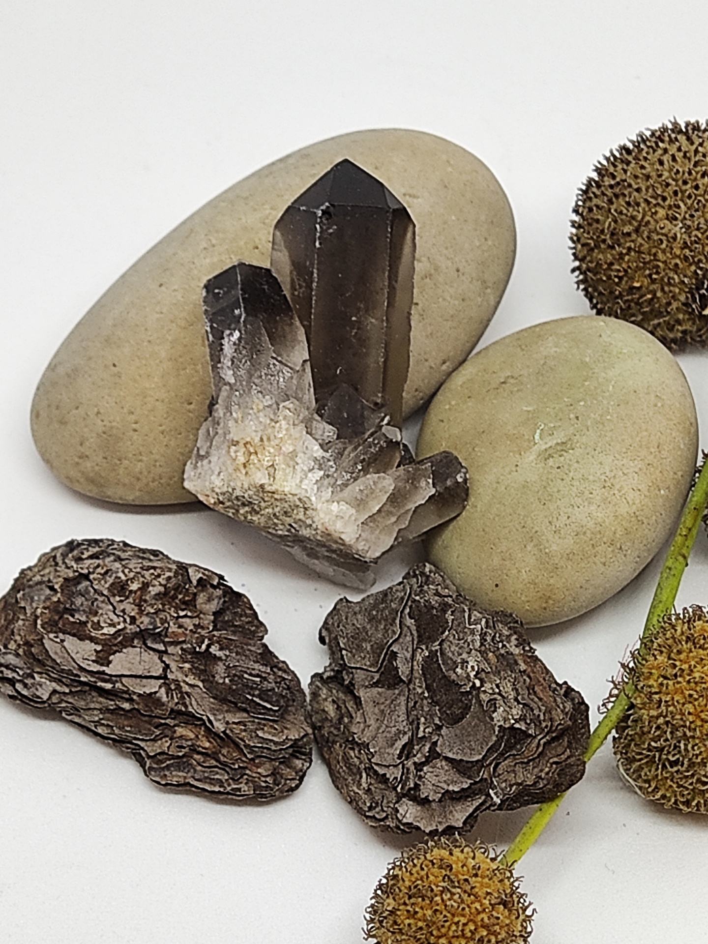 Pedras, cristal e flores secas sobre superfície branca