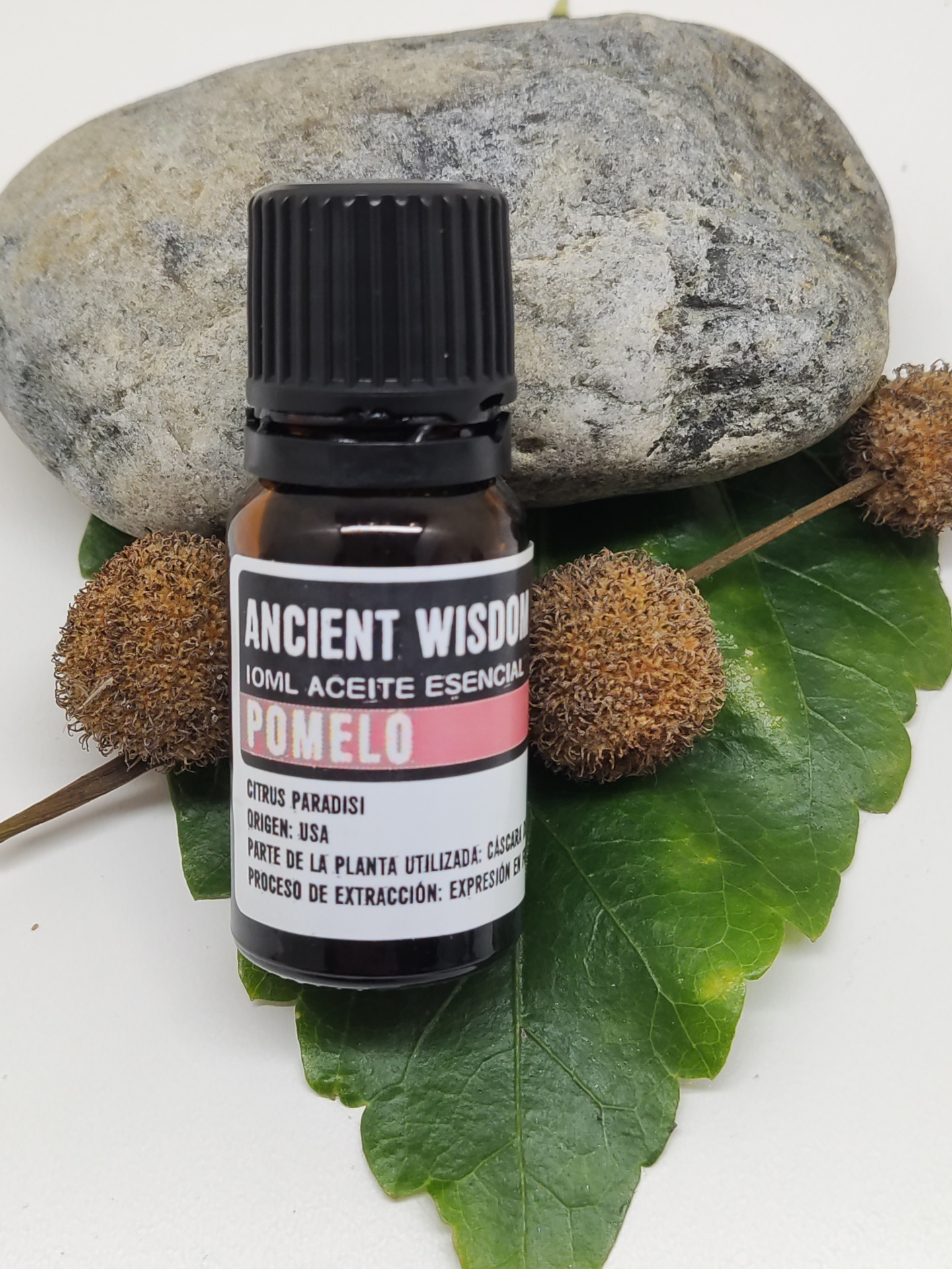 Frasco de óleo essencial de pomelo sobre folha verde com vagens secas e pedra