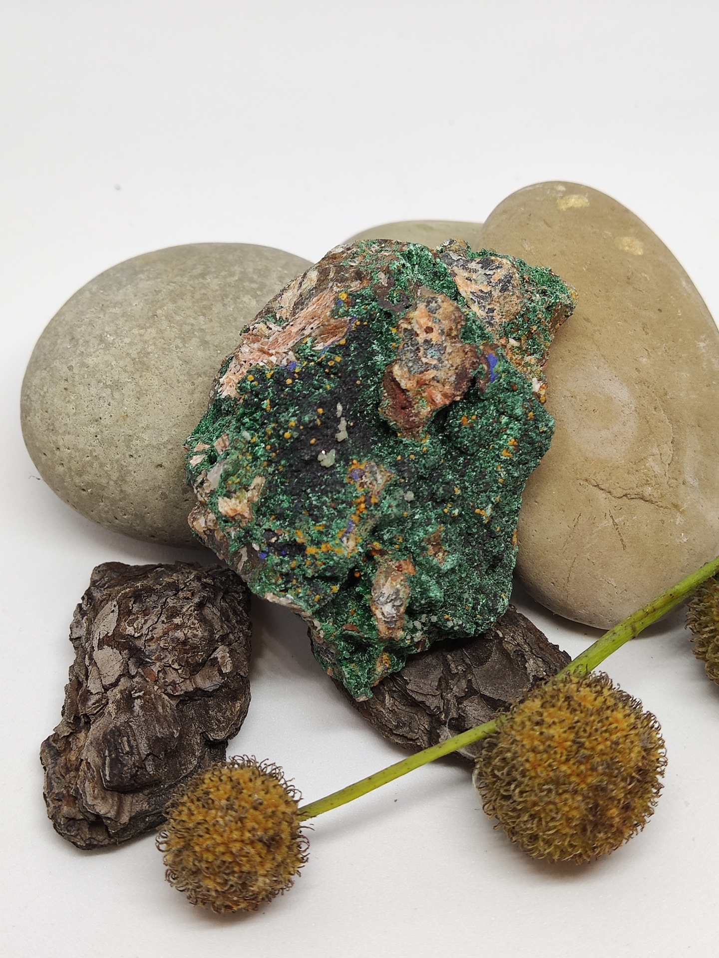 Composição de pedras e flores secas sobre fundo branco