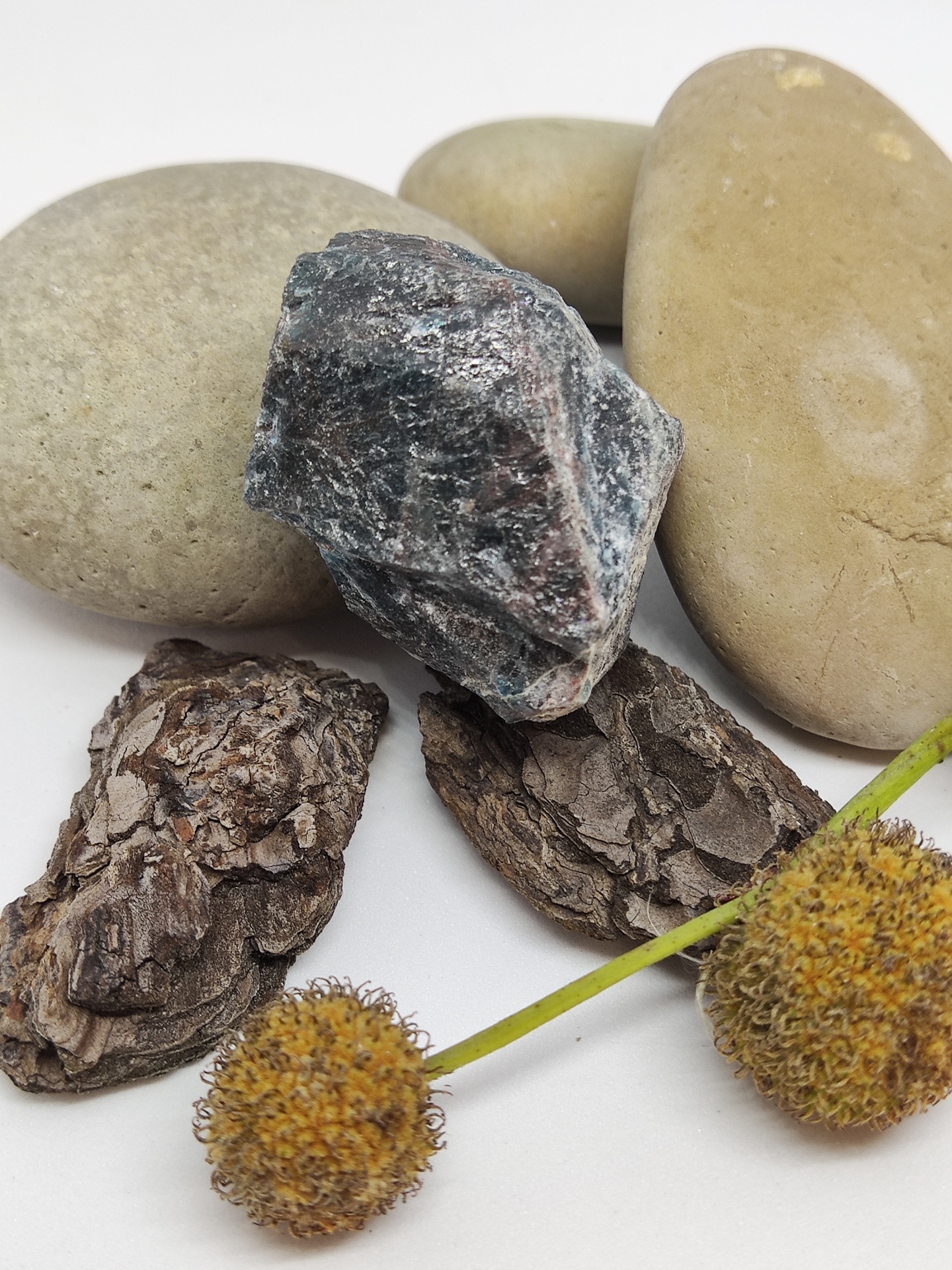 Pedras, casca de árvore e sementes secas sobre fundo branco