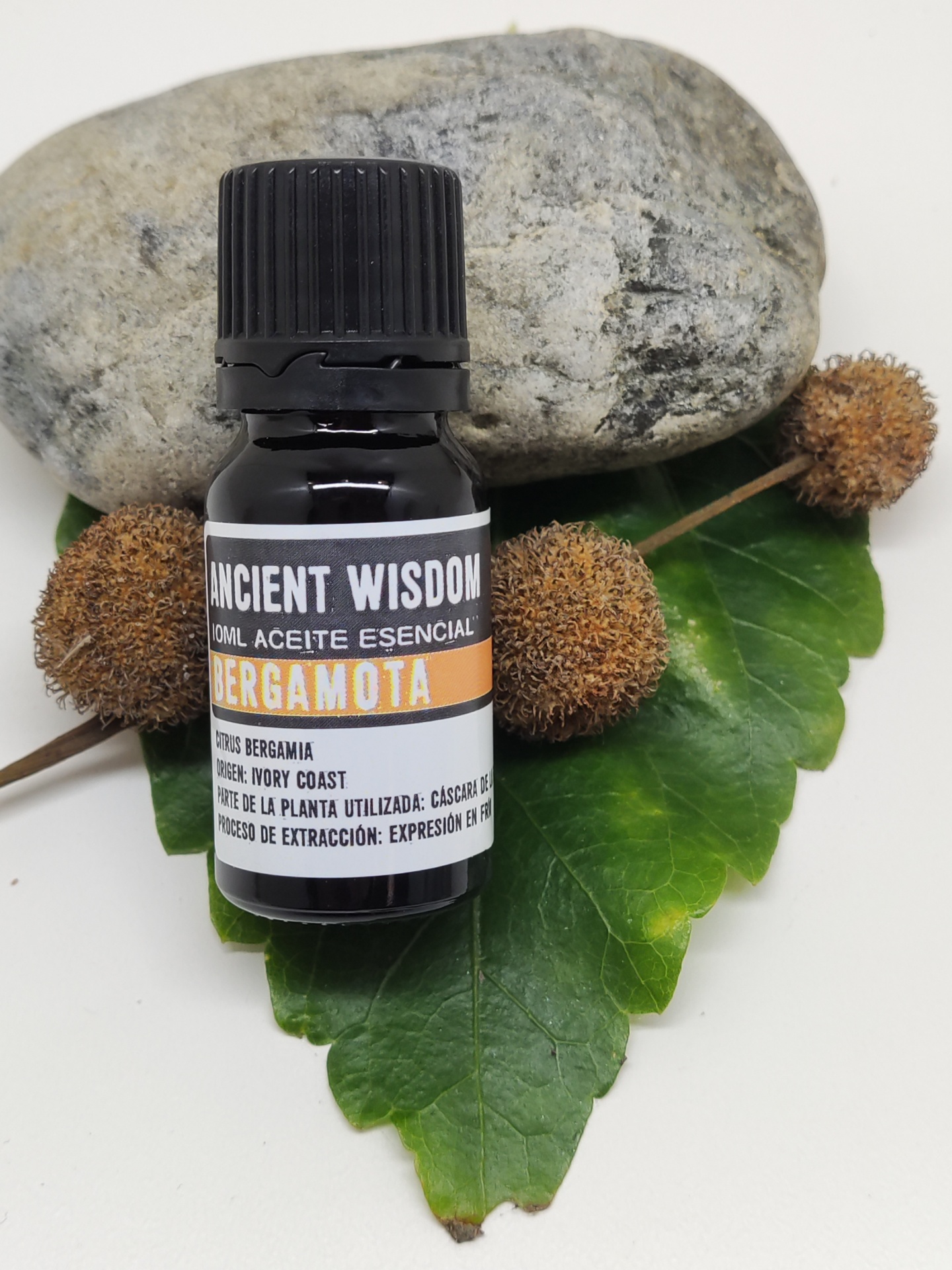 Frasco preto de óleo essencial de bergamota sobre folhas verdes com bolbos secos e pedra cinzenta.
