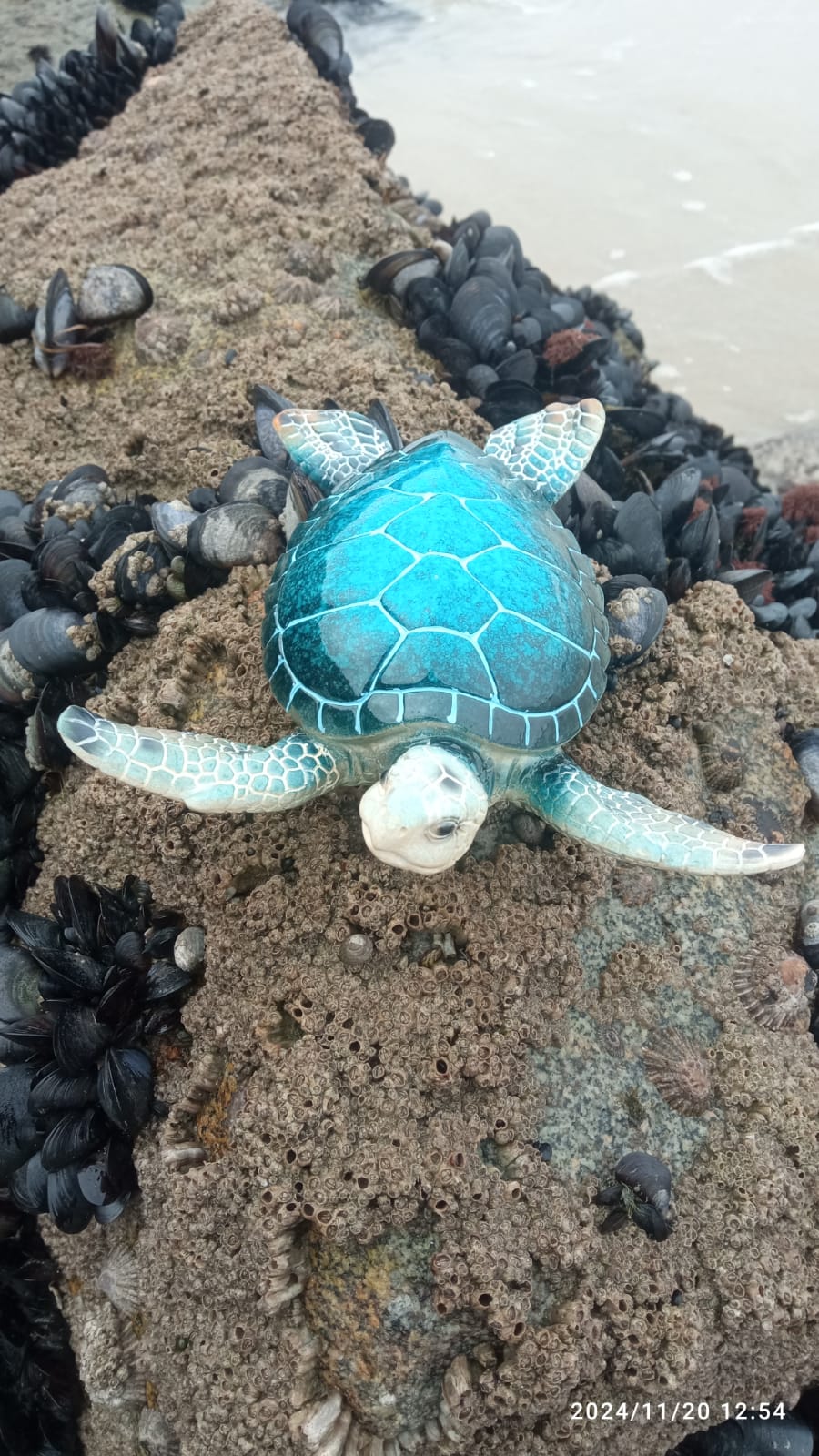 Figura decorativa de tartaruga azul sobre rocha com moluscos ao lado do mar