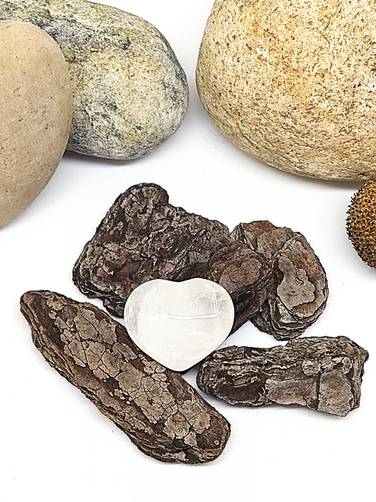 Pedras naturais, fragmentos de casca seca e pedra em forma de coração branco sobre fundo branco