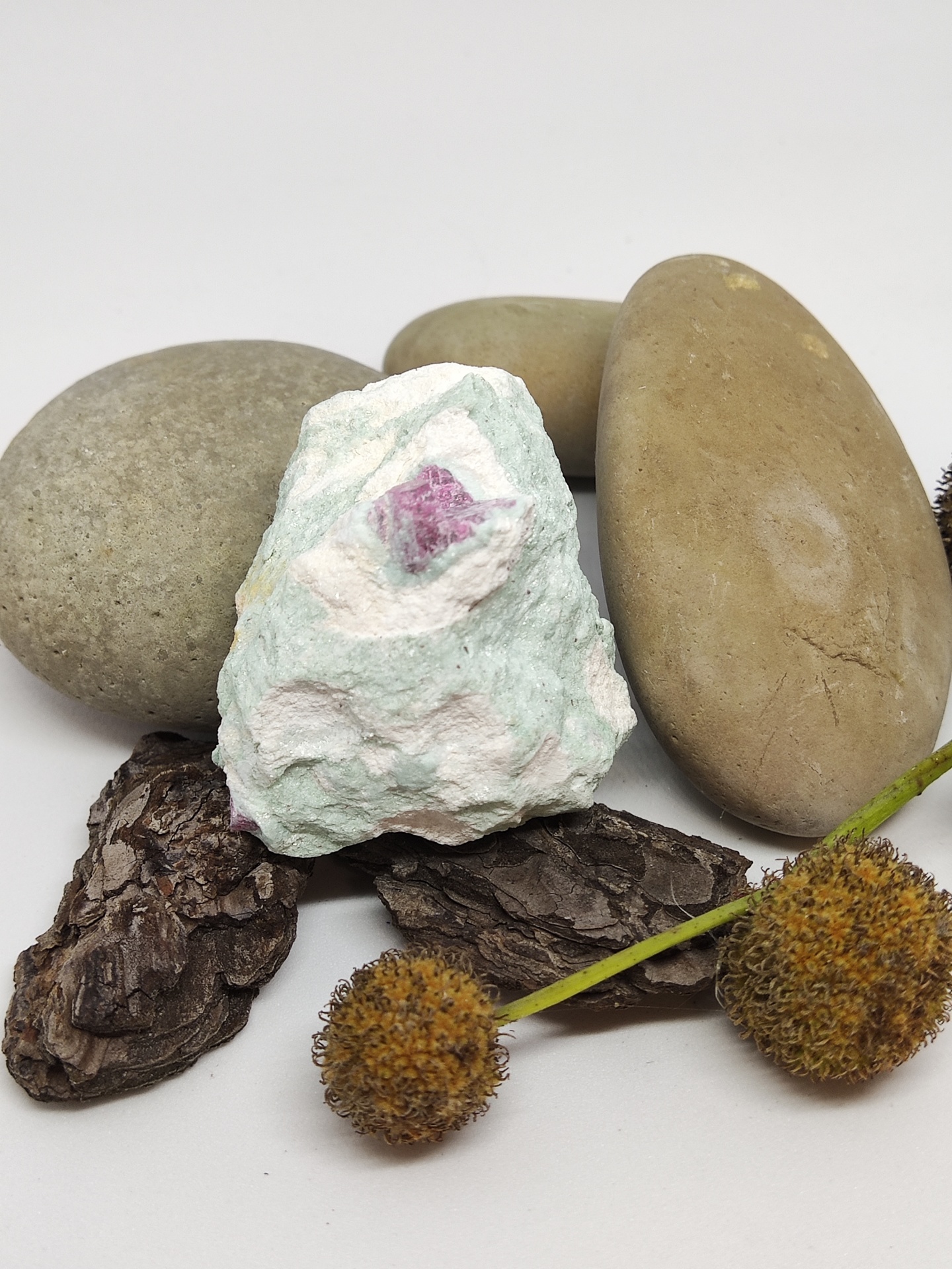 pedras decorativas de várias cores e texturas com casca e flores secas sobre fundo branco