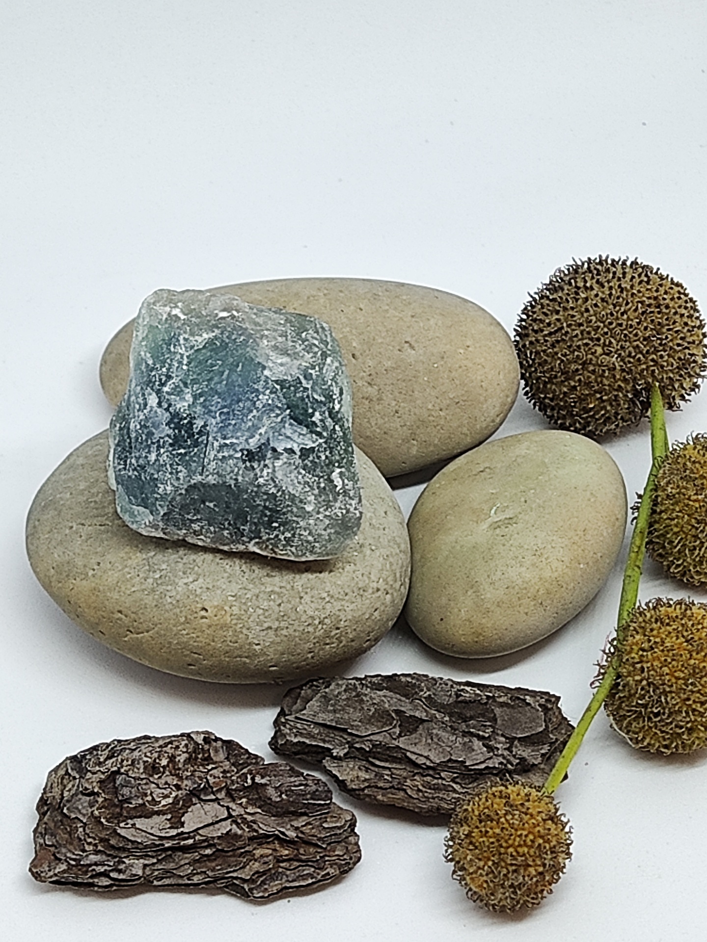 Pedras naturais, cascas de madeira e frutos secos num fundo branco