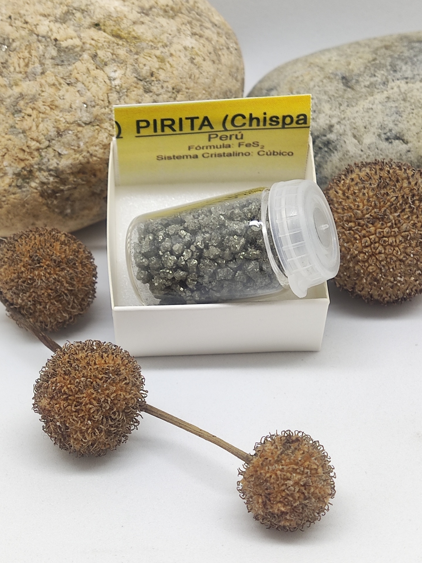 Frasco pequeno com pirita metálica em caixa branca e etiqueta amarela, rodeado por pedras e frutos secos castanhos