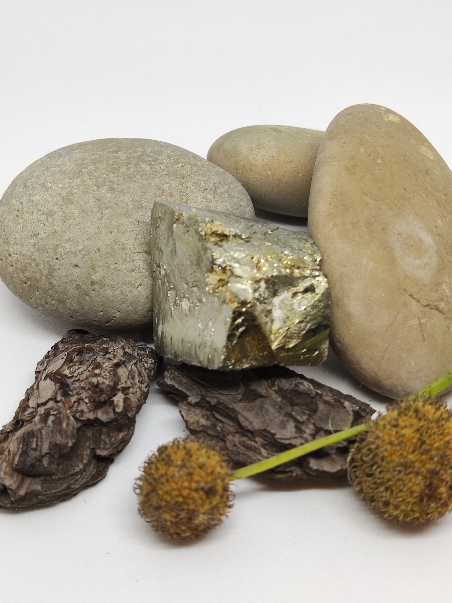 Pedras lisas, cascas de árvore e flores secas sobre superfície branca