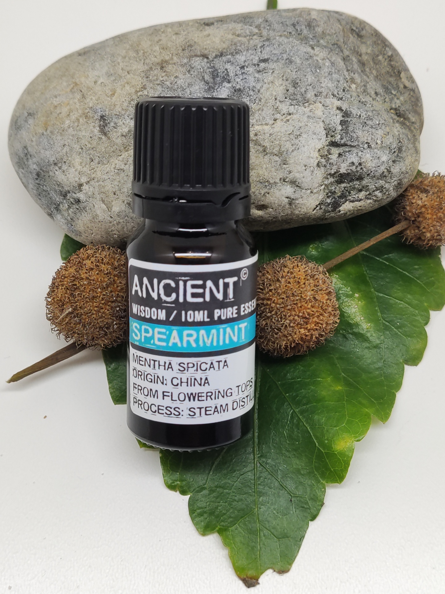 Frasco pequeno de óleo essencial sobre folha verde, sementes castanhas e pedra cinzenta