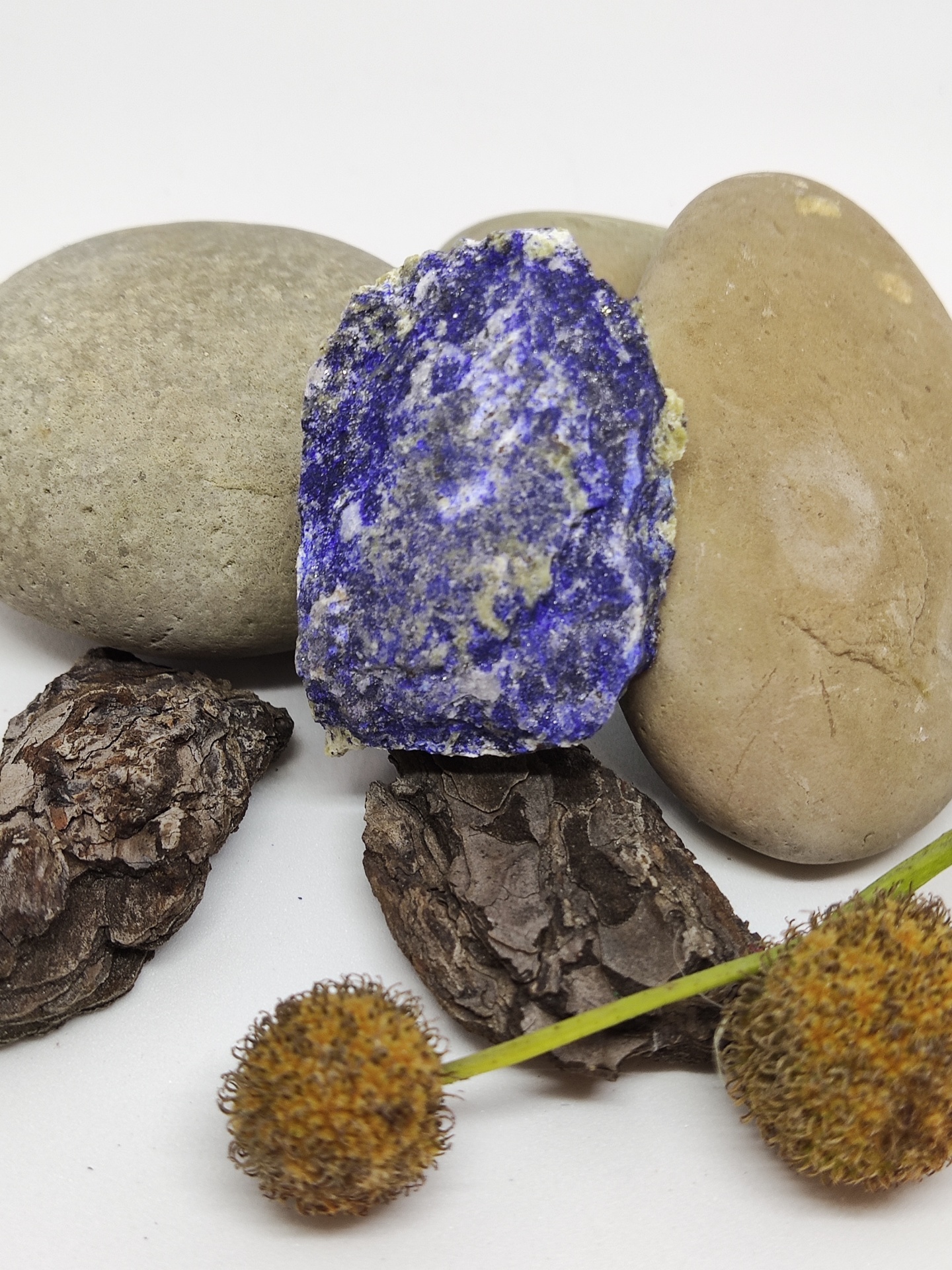 Pedras, casca e flores secas sobre fundo branco