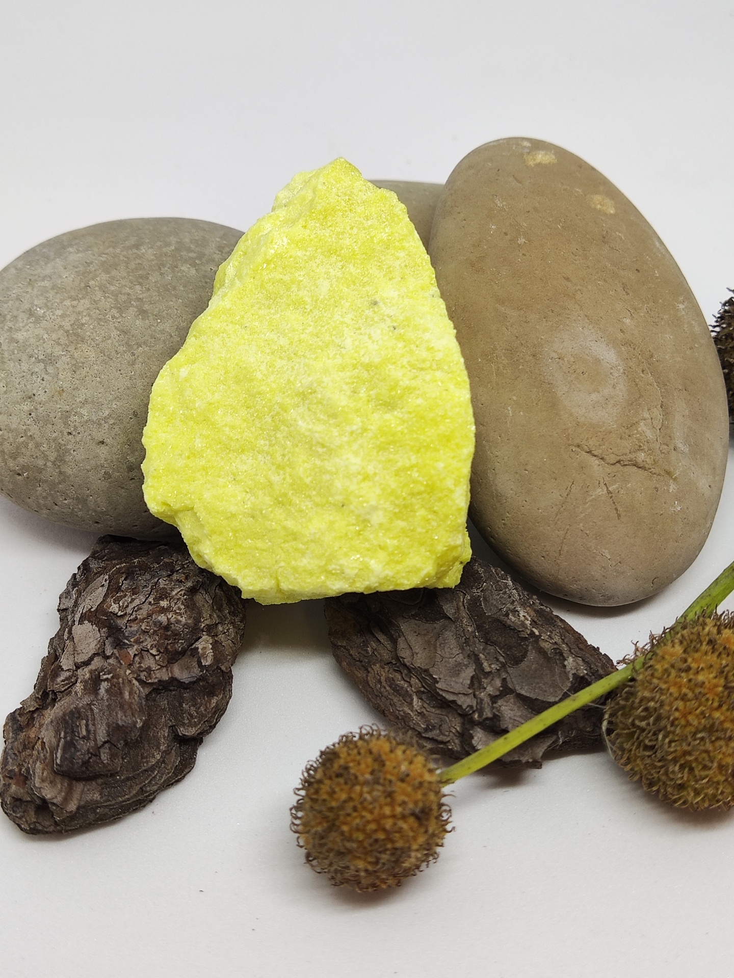 Pedra amarela rugosa entre pedras castanhas e cascas com flores secas