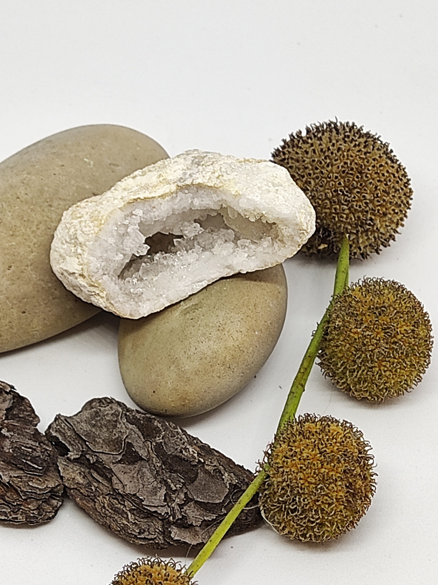 Decoração com pedras, geodo, casca e flores secas