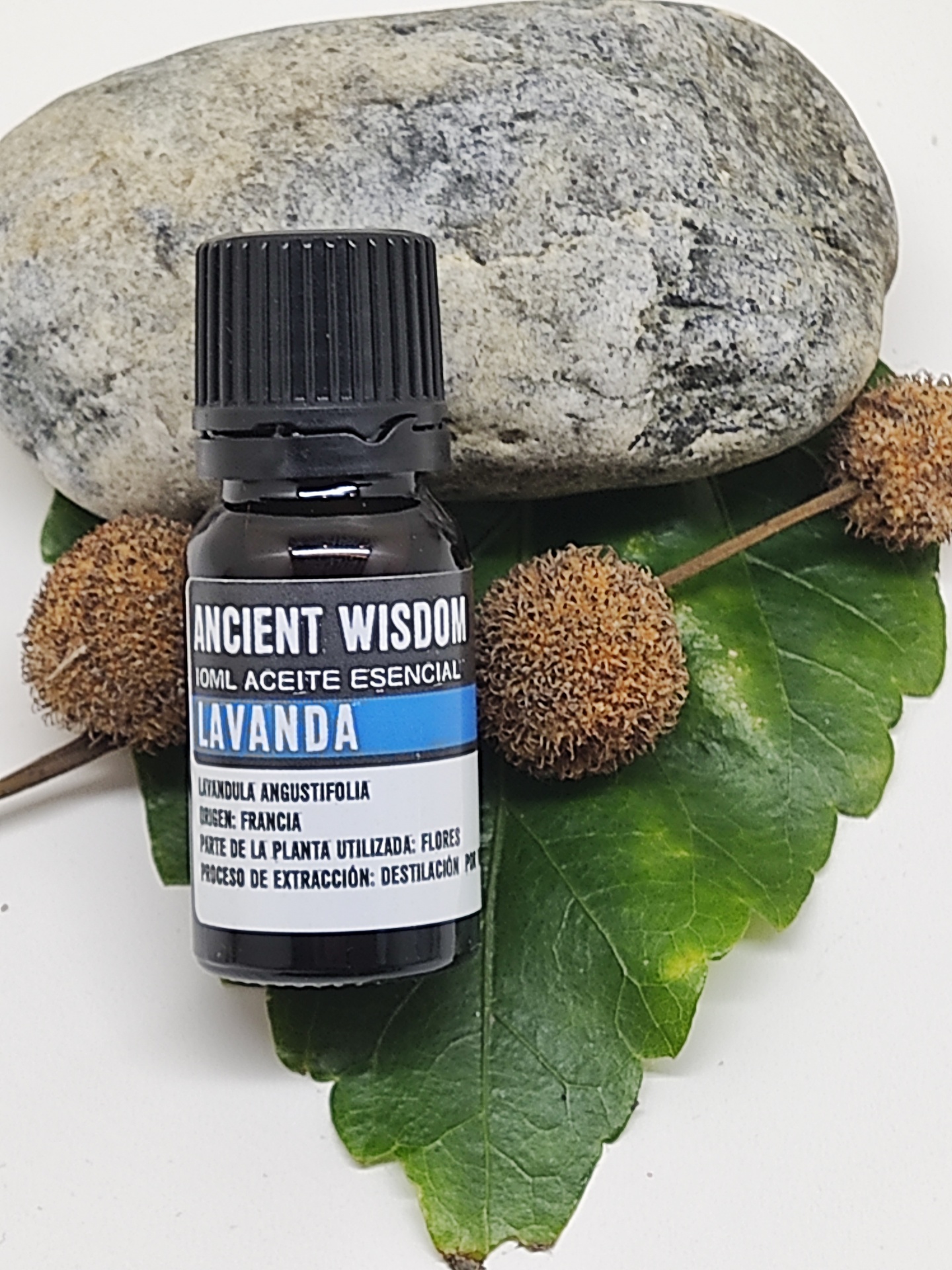 Frasco de óleo essencial de lavanda sobre folha verde com sementes e pedra cinzenta