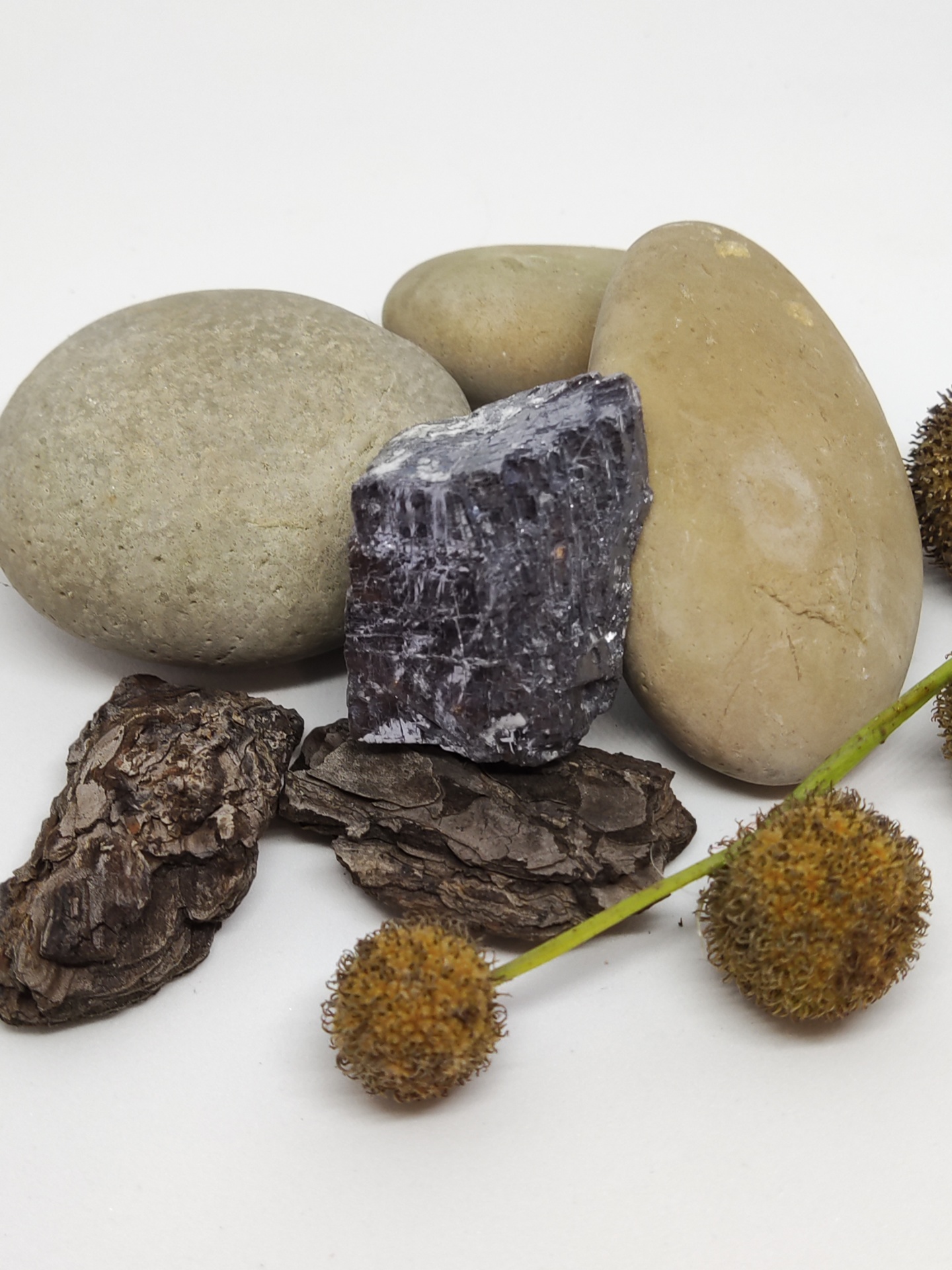 Pedras naturais e cascas de árvore com ramo de bolas secas sobre fundo branco.