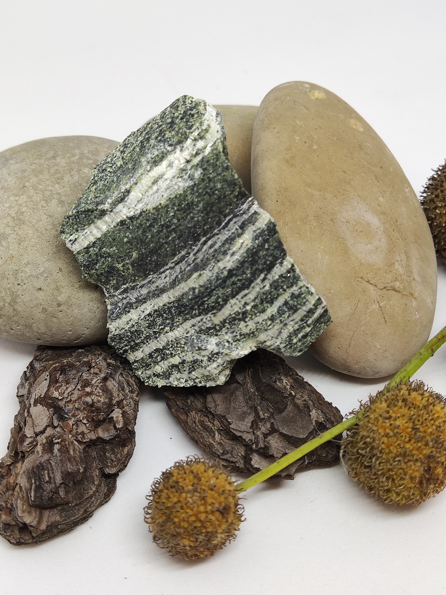 Pedras naturais diversas e flores secas sobre fundo branco