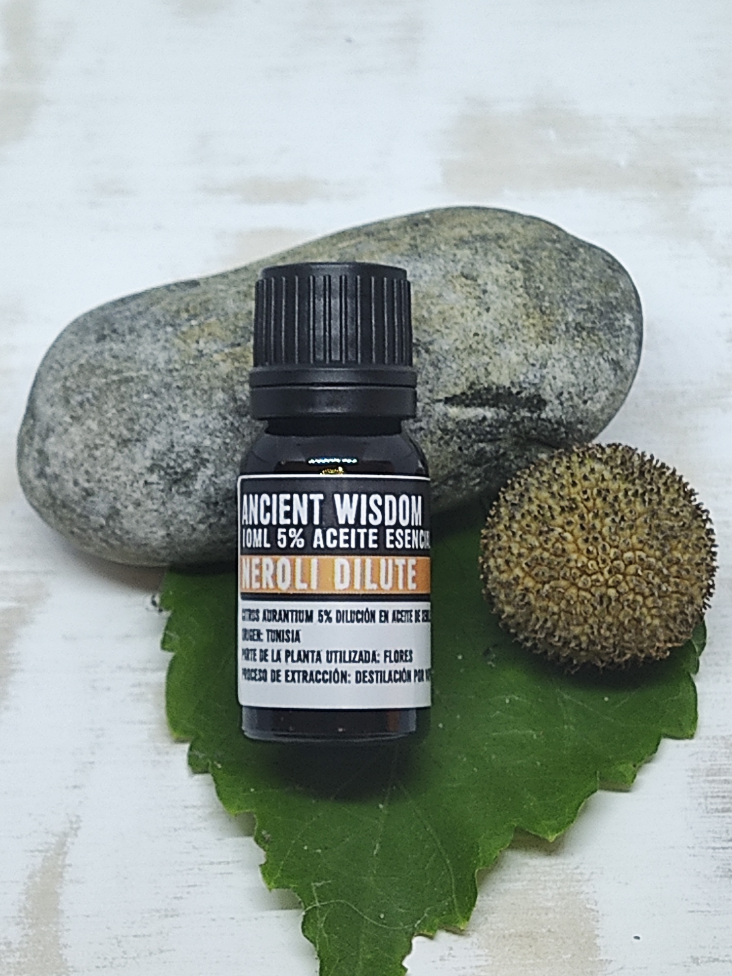 Frasco de óleo essencial 'Ancient Wisdom' sobre folha verde com pedra e semente