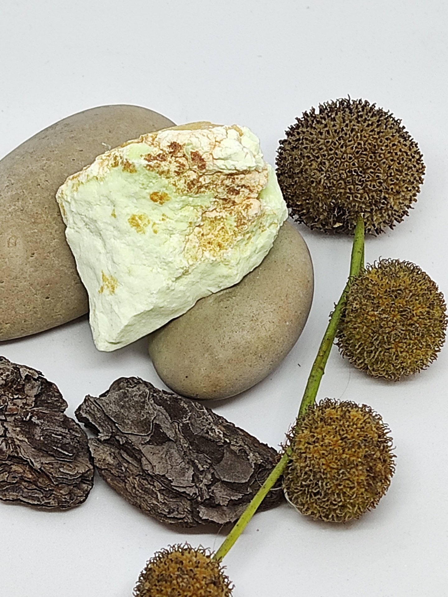 Elementos naturais variados sobre fundo branco