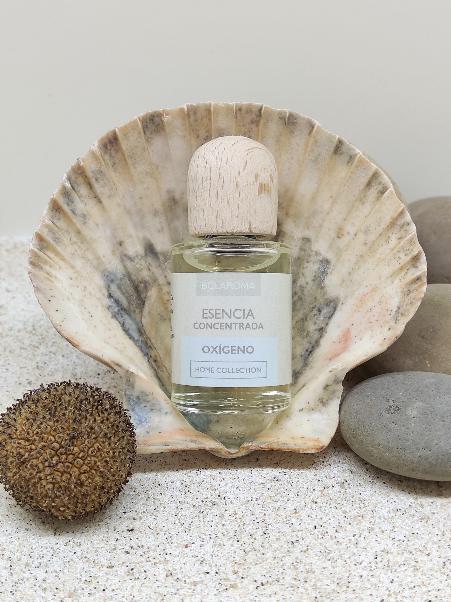 Frasco de essência concentrada dentro de concha com pedras ao redor