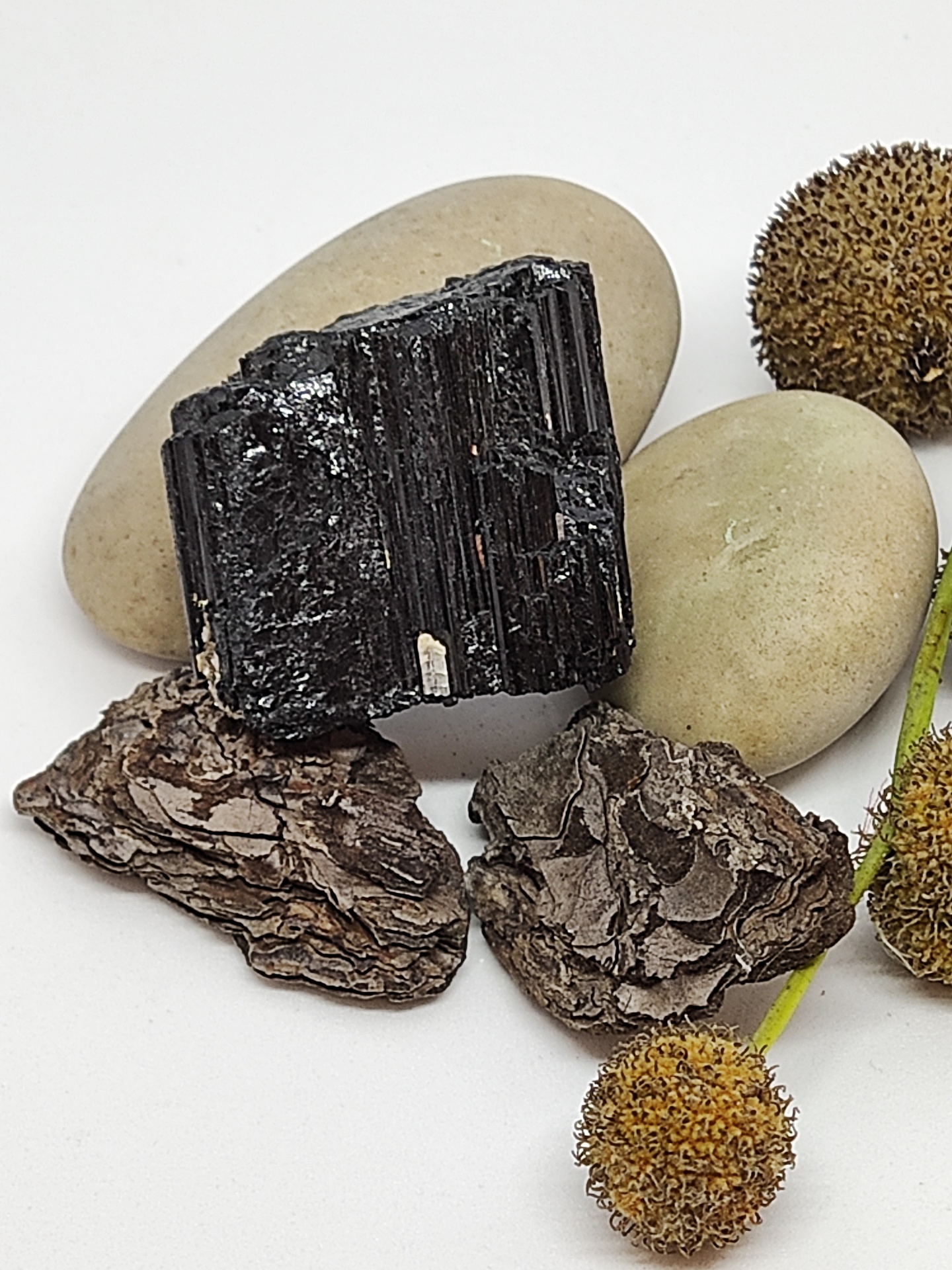 Conjunto de pedras, cascas e sementes secas sobre fundo branco