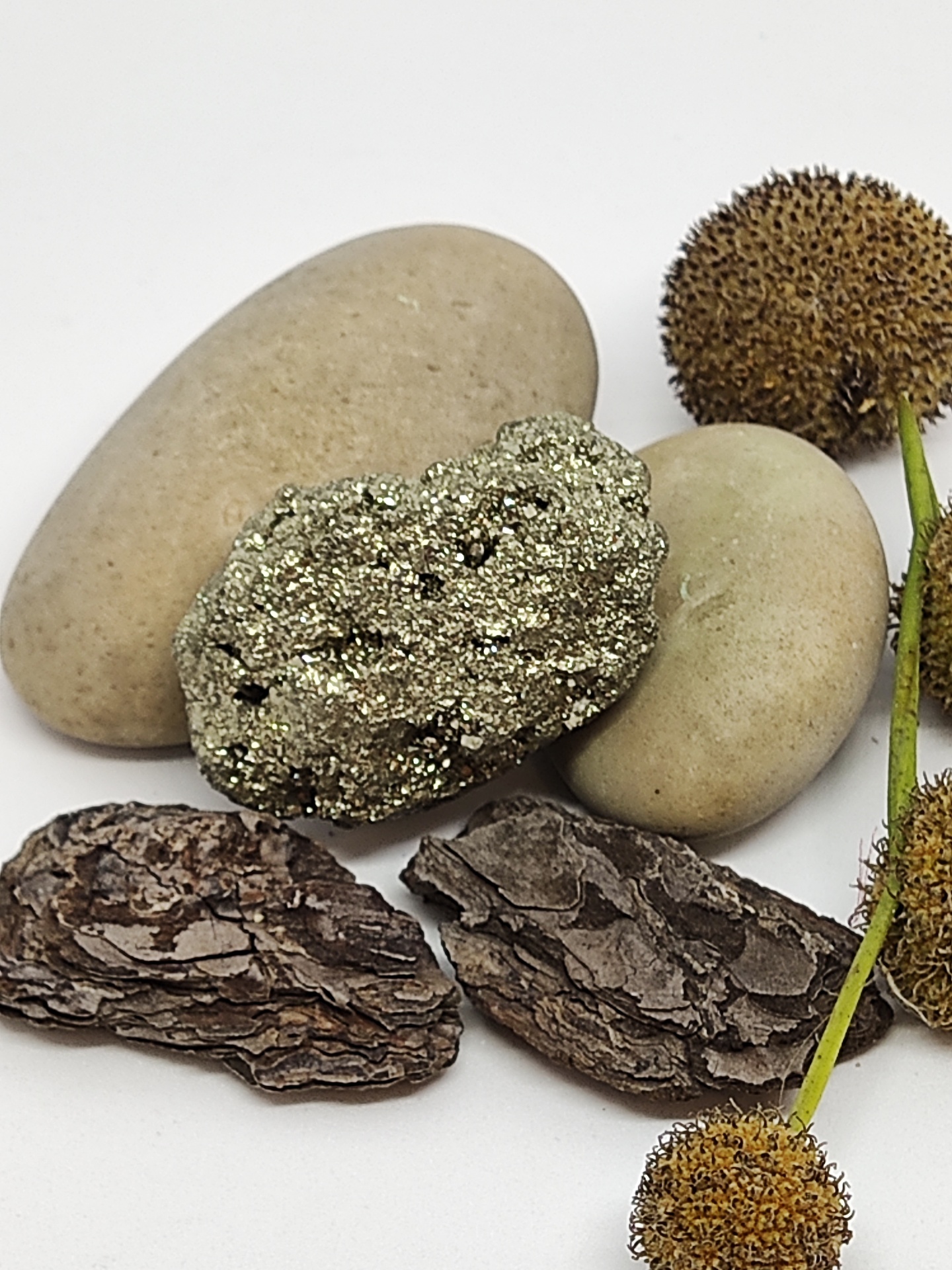 Pedras decorativas, cascas e frutos secos sobre fundo branco