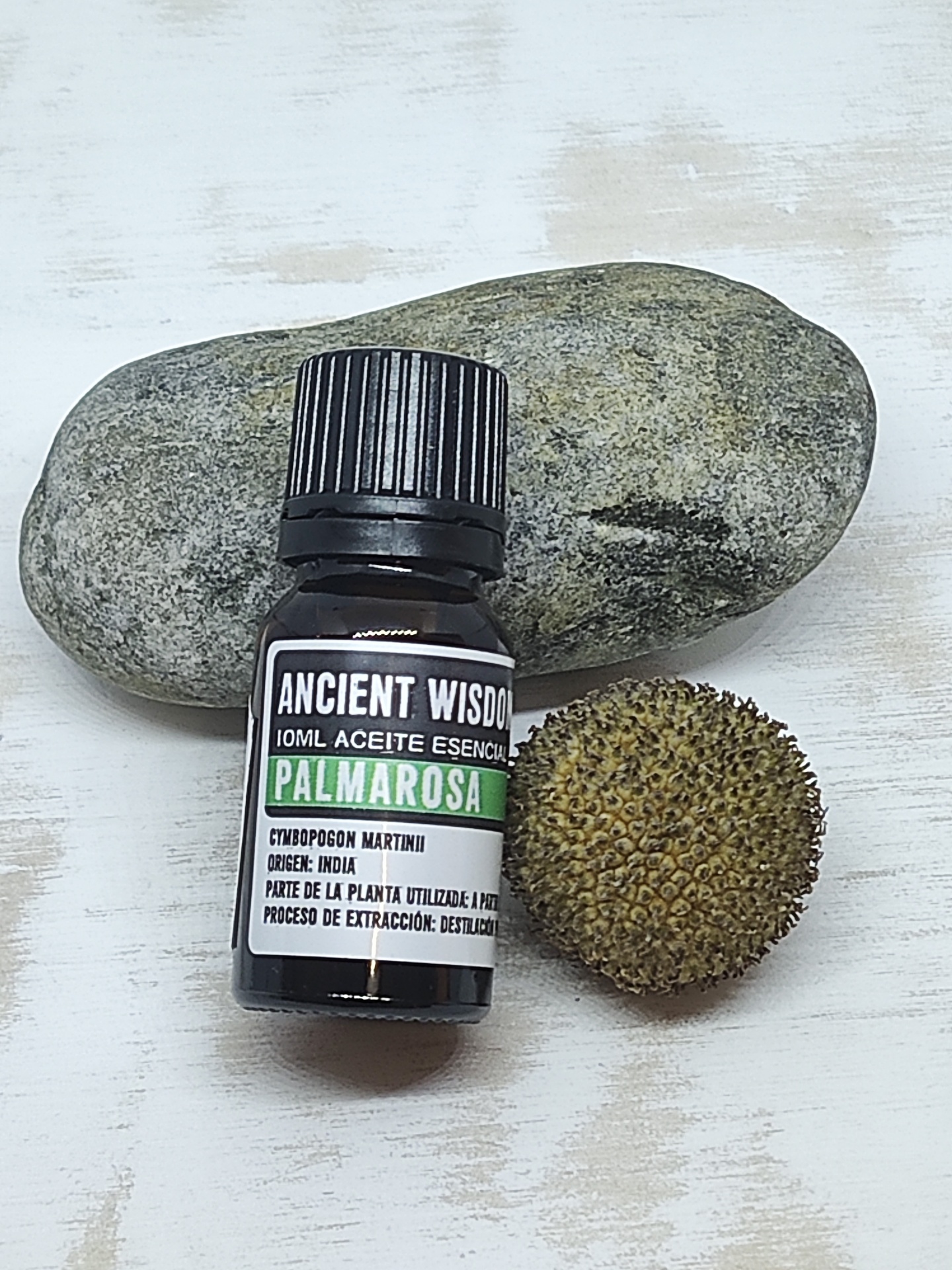 Frasco de óleo essencial de palmarosa entre pedra cinza e semente espinhosa sobre fundo branco
