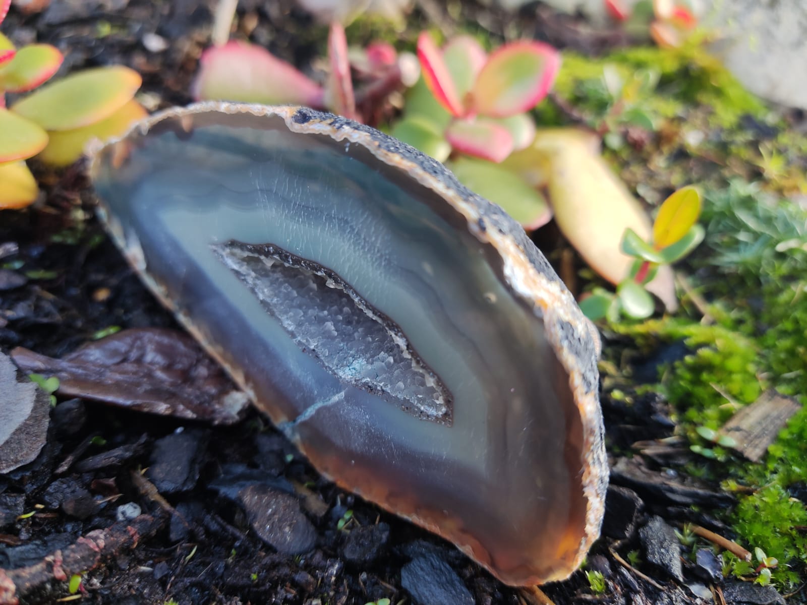 Fatia de ágata polida com núcleo cristalizado sobre terra e musgo.